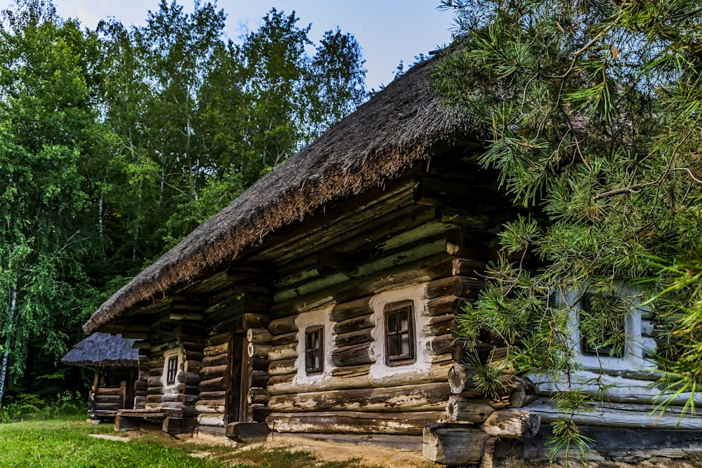 a log cabin with a thatched roof and windows