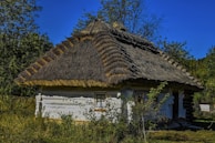 A traditional thatched-roof cottage surrounded by lush greenery and tall grasses. The structure features whitewashed walls and small windows, evoking a rustic, pastoral ambiance. Trees and bushes are prominently situated around the house, casting shadows on the ground.