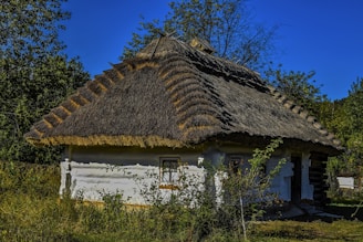 A traditional thatched-roof cottage surrounded by lush greenery and tall grasses. The structure features whitewashed walls and small windows, evoking a rustic, pastoral ambiance. Trees and bushes are prominently situated around the house, casting shadows on the ground.
