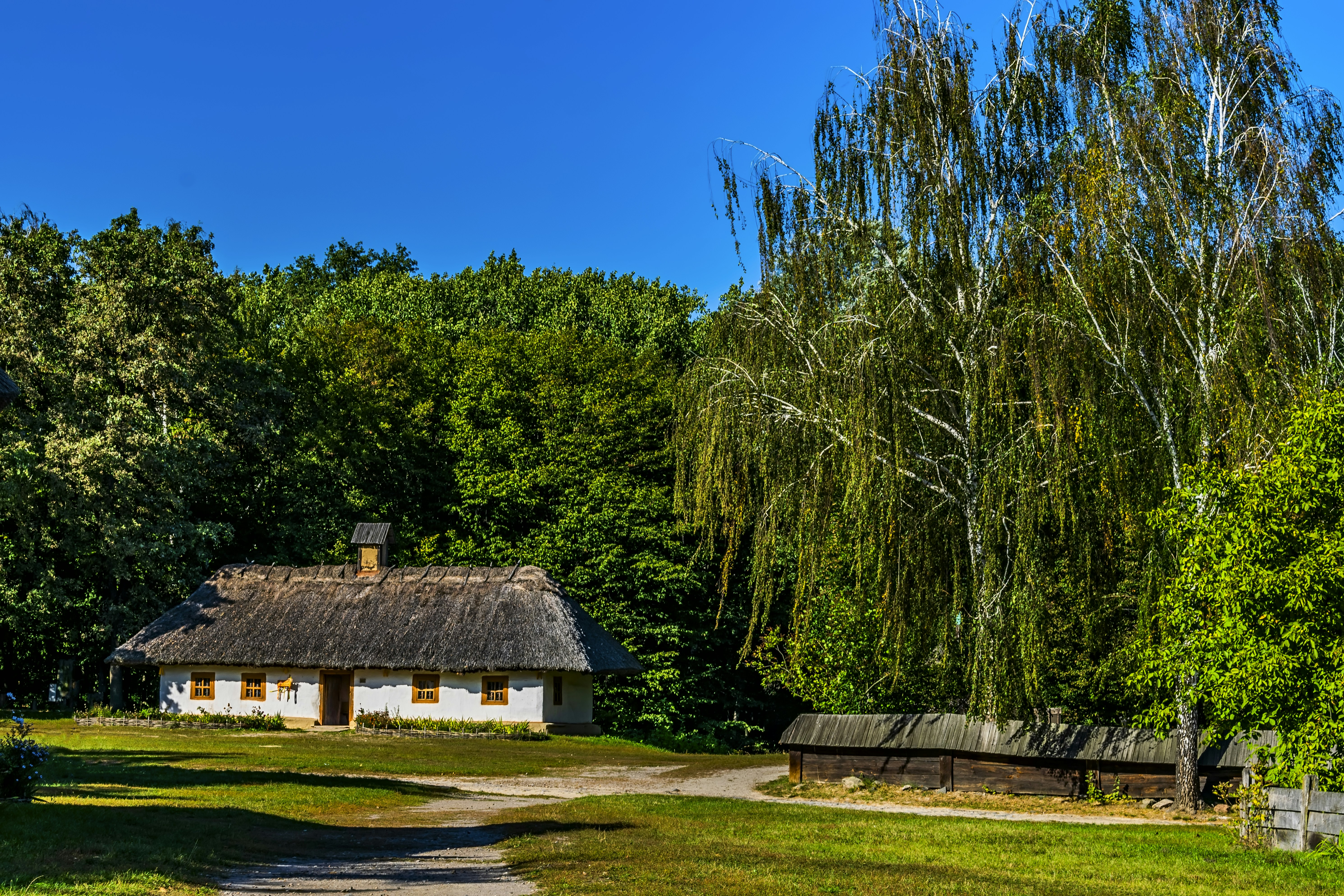 Photo by kostiantynvierkieiev