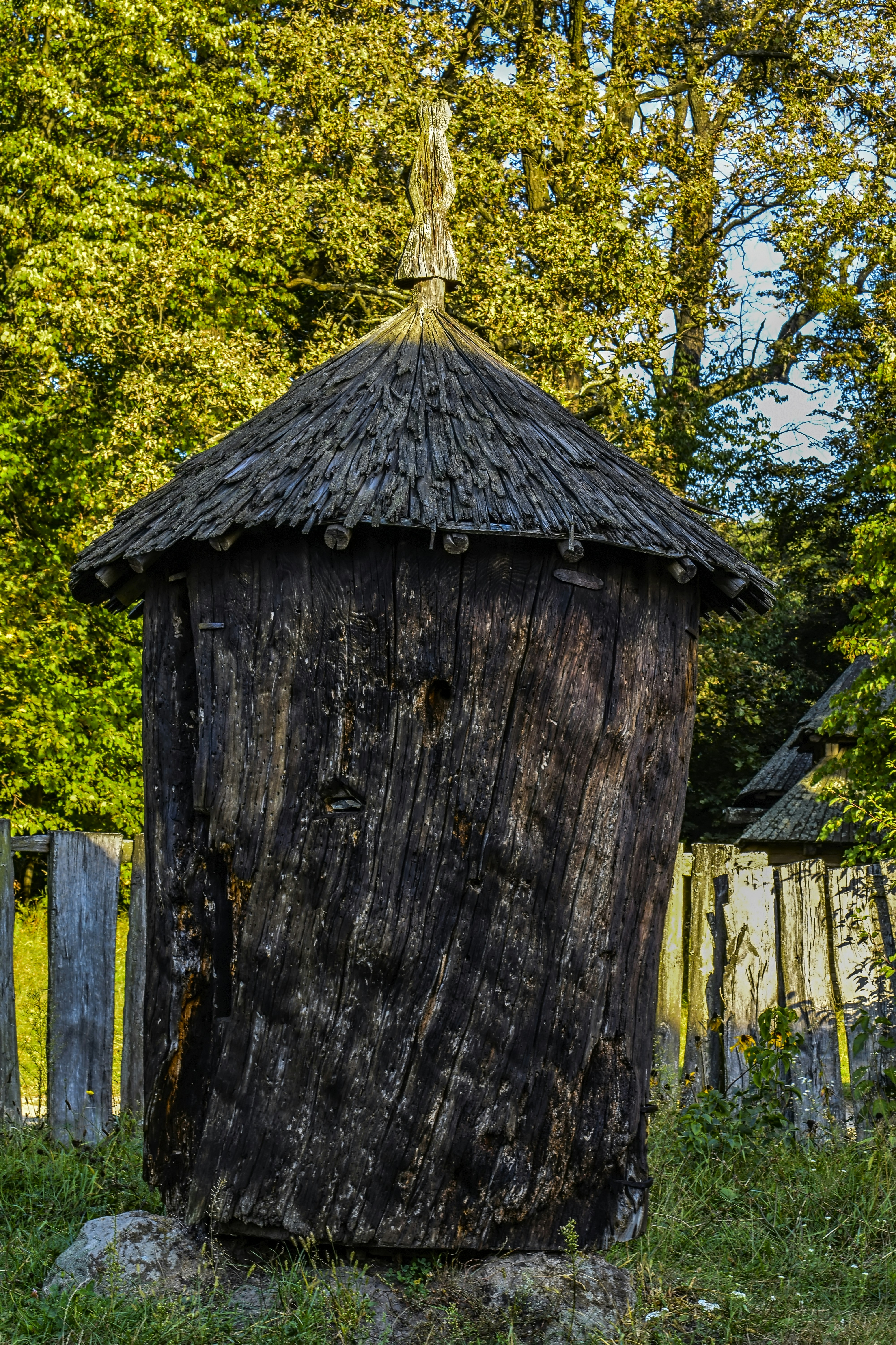 Photo by kostiantynvierkieiev