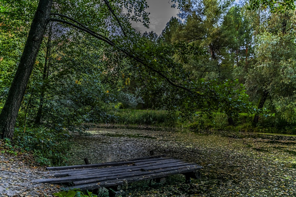 eine Holzbank mitten im Wald