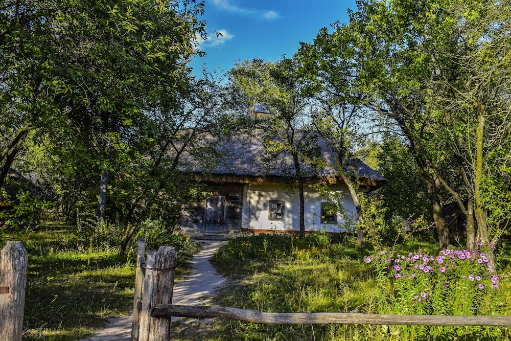 Una pequeña casa en medio del bosque