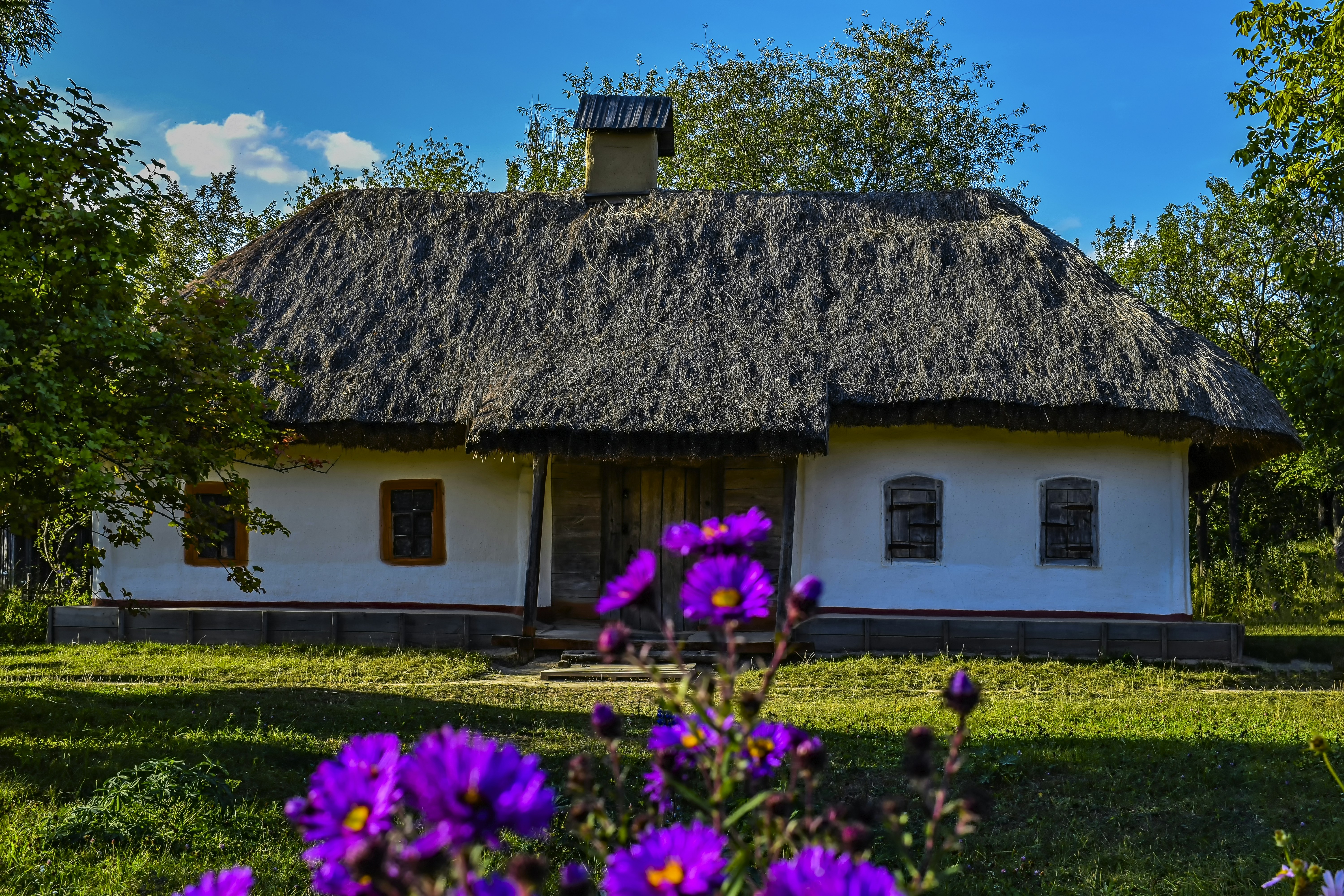 Photo by kostiantynvierkieiev