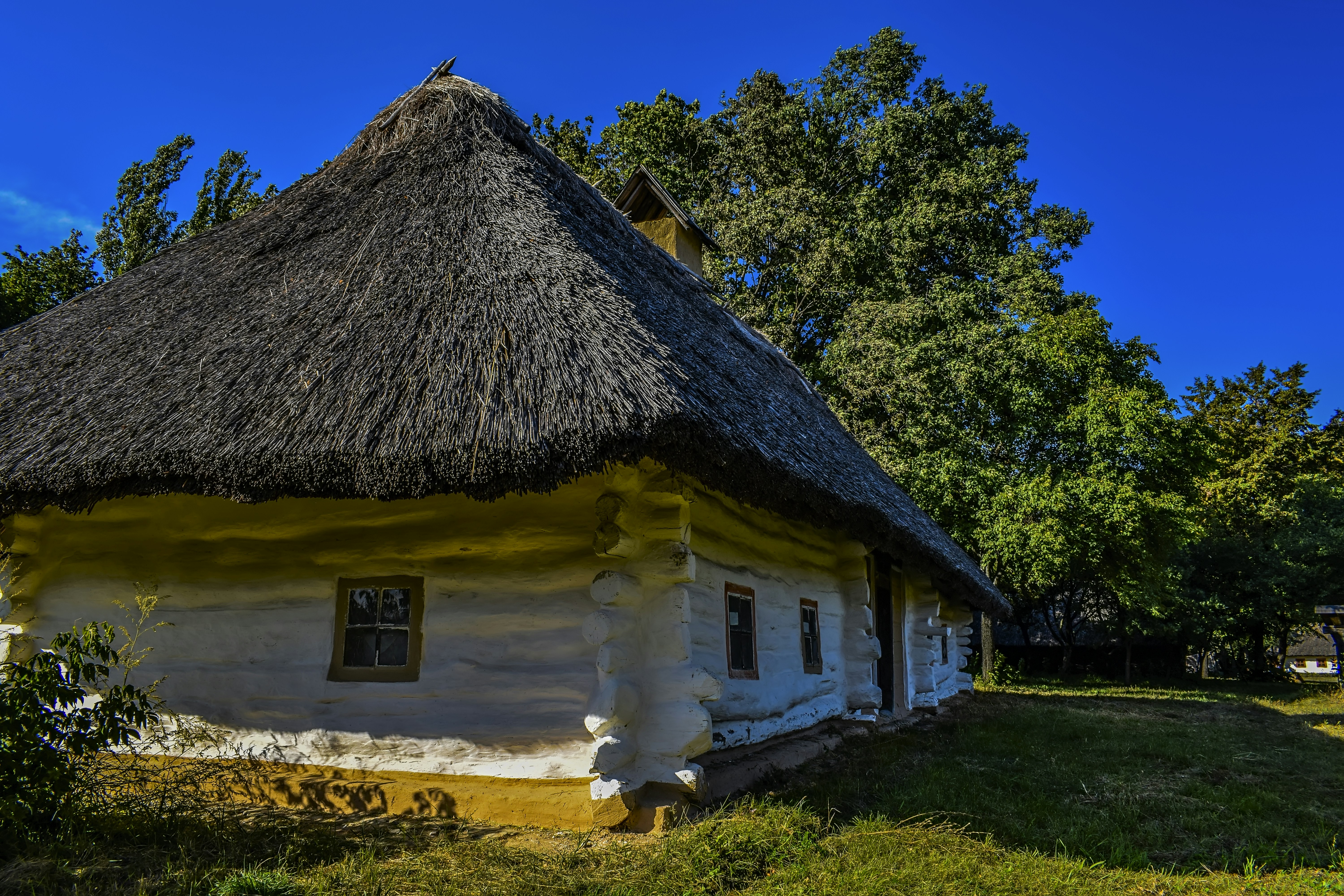 Photo by kostiantynvierkieiev