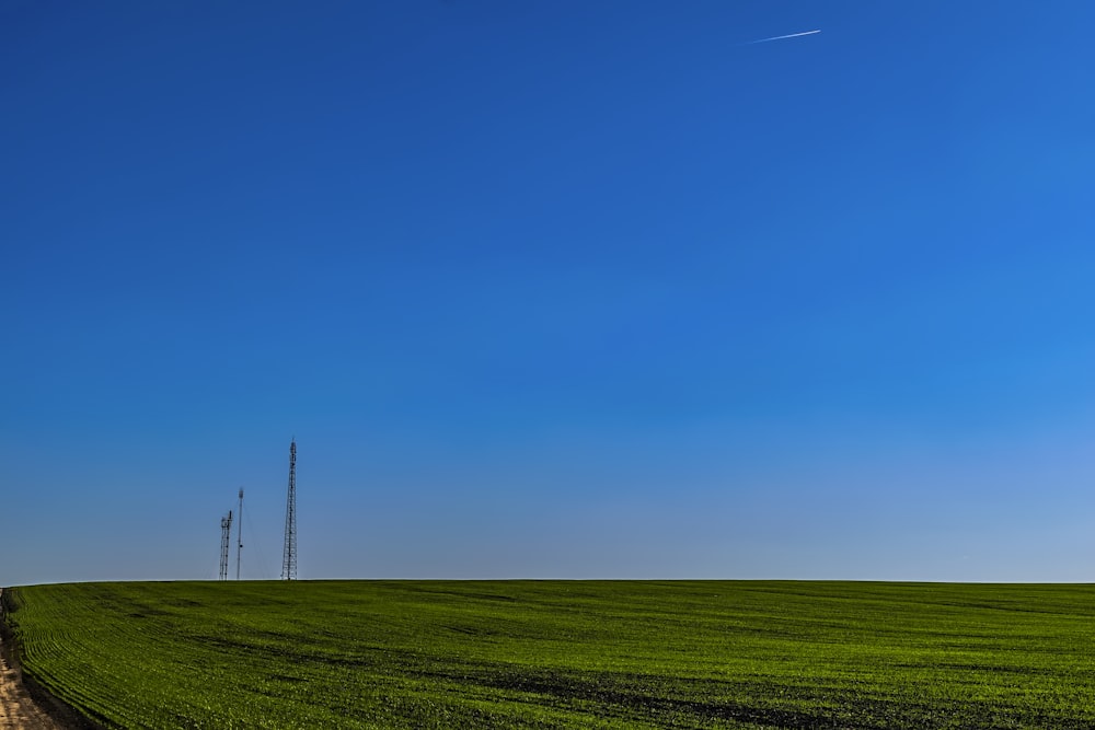 a field of grass with a cell tower in the distance