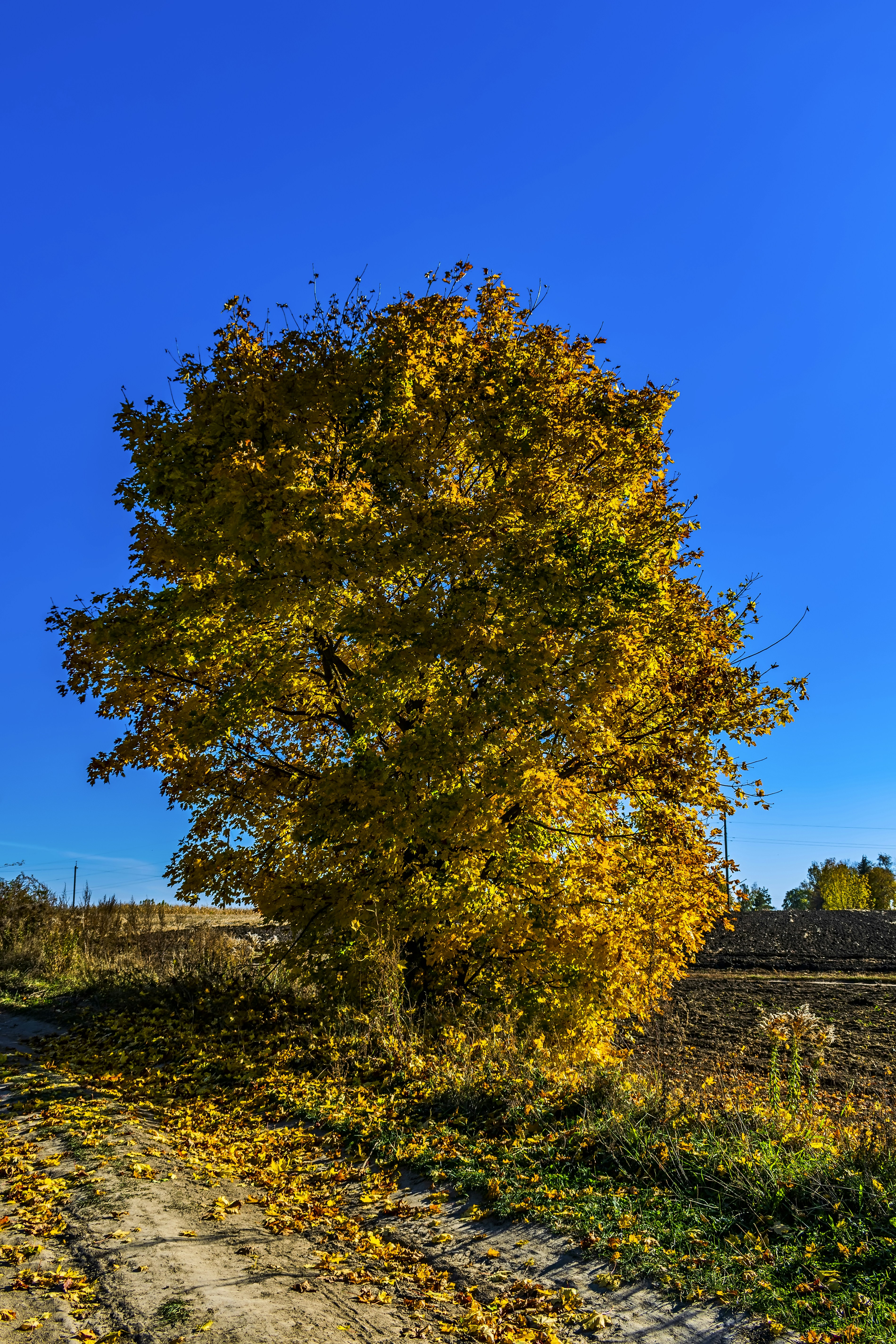 Photo by kostiantynvierkieiev