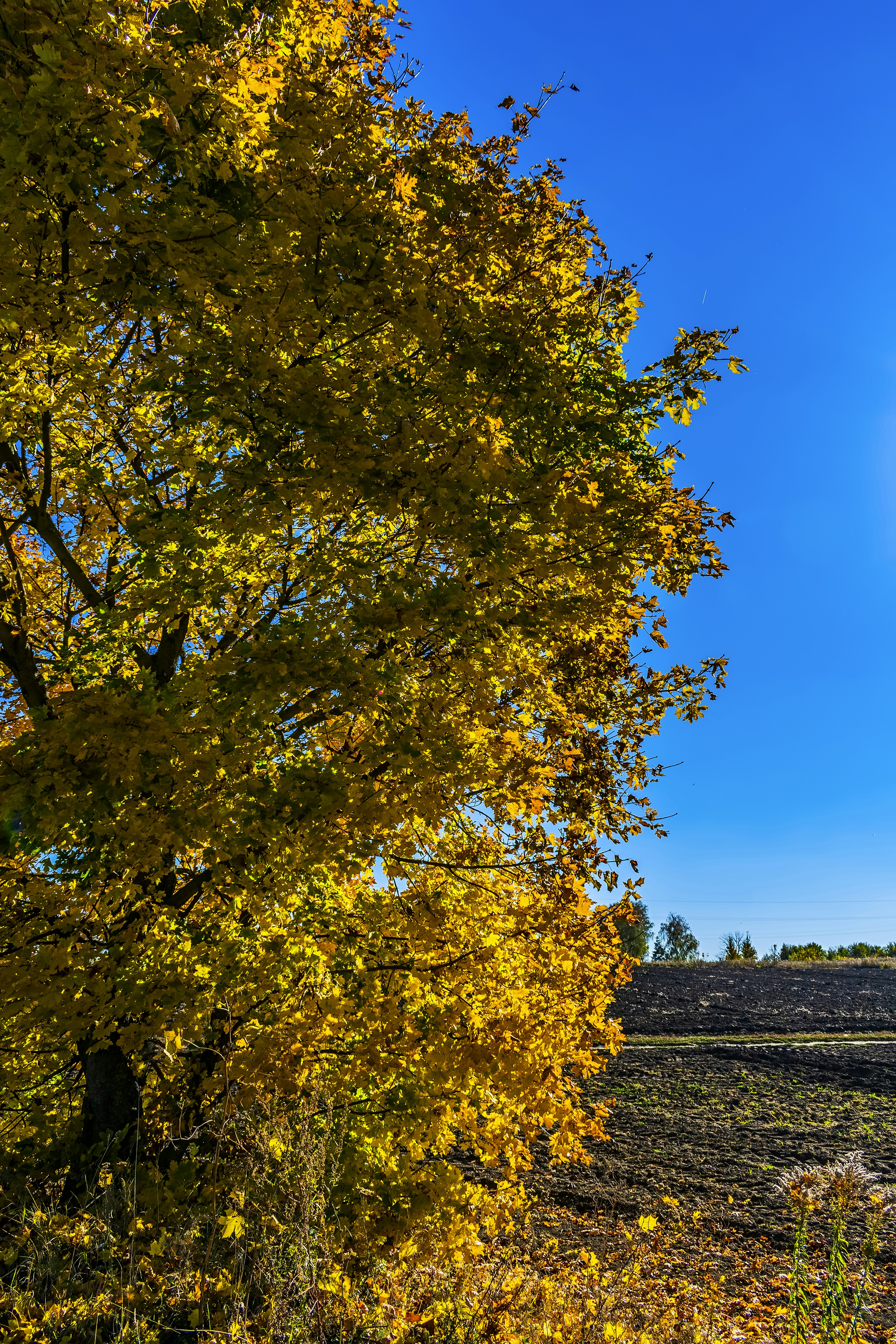 Photo by kostiantynvierkieiev