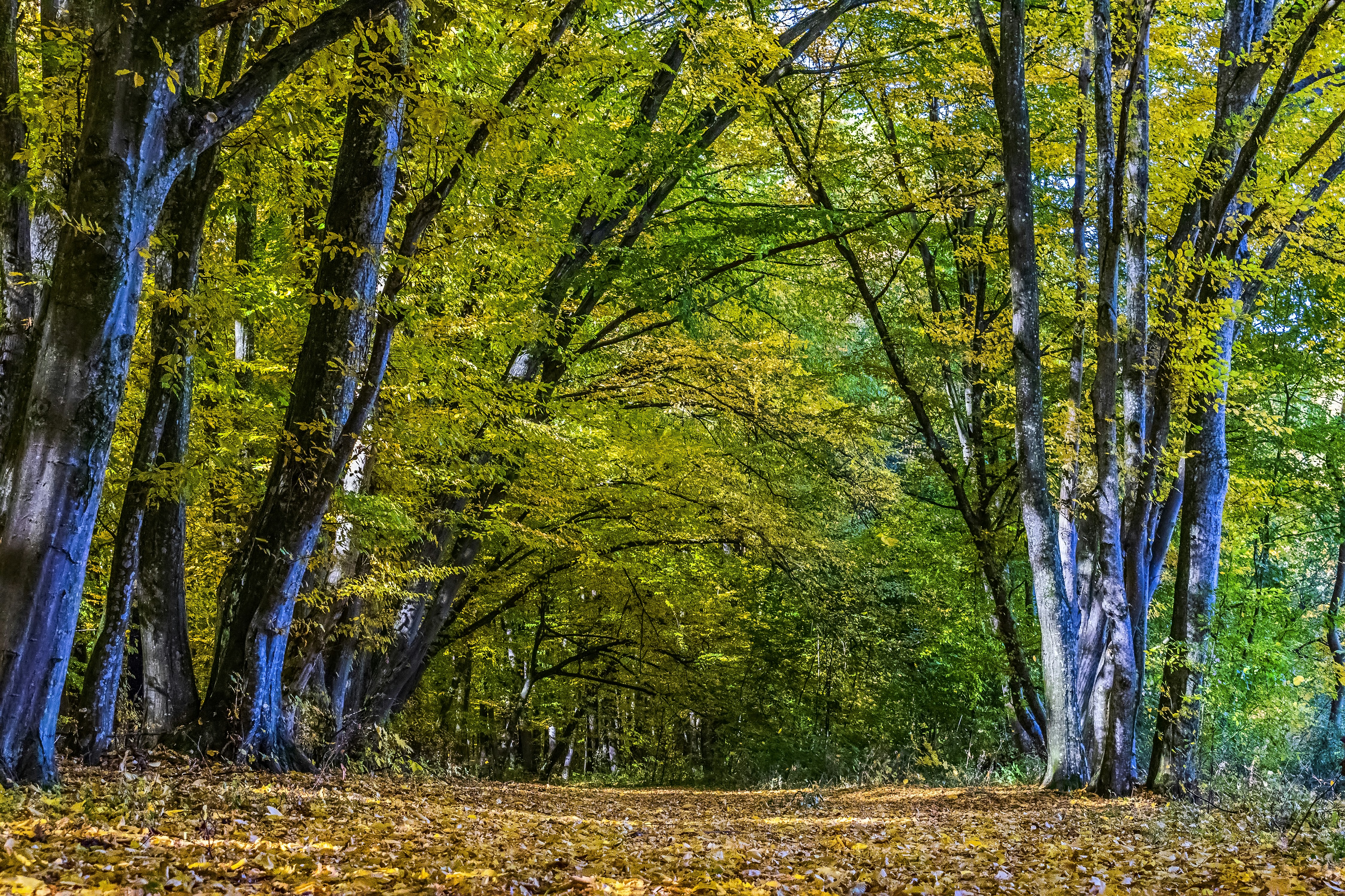 Photo by kostiantynvierkieiev