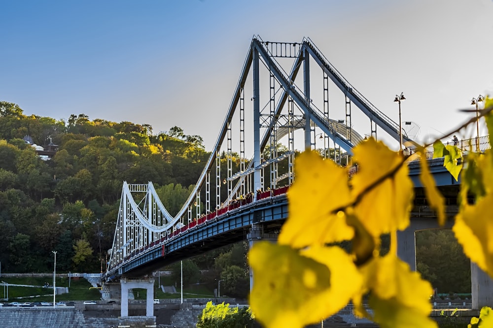 a bridge with a train going over it