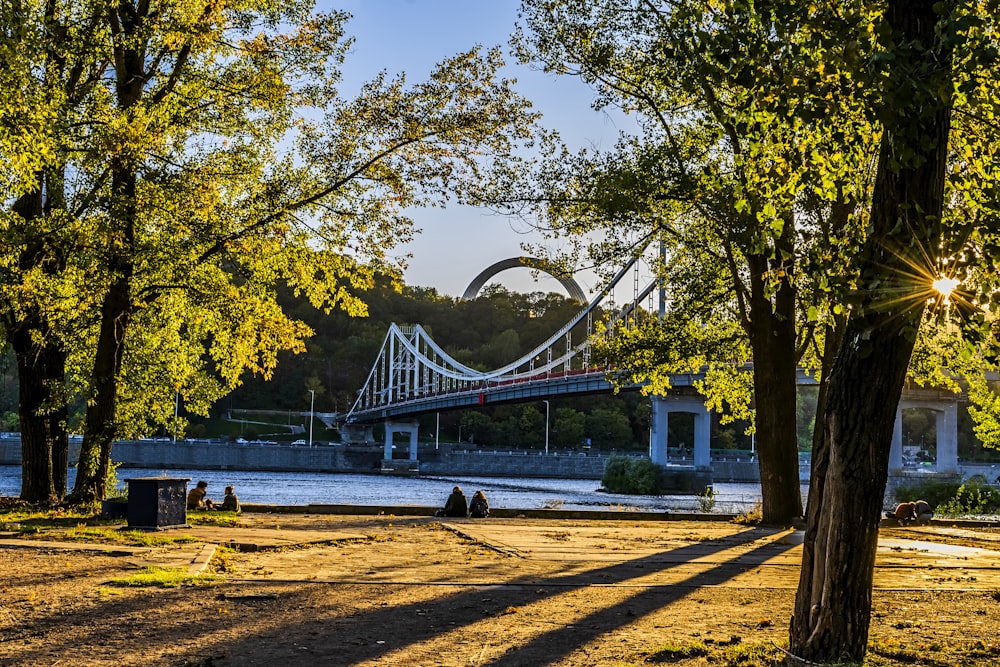 a bridge over a body of water surrounded by trees