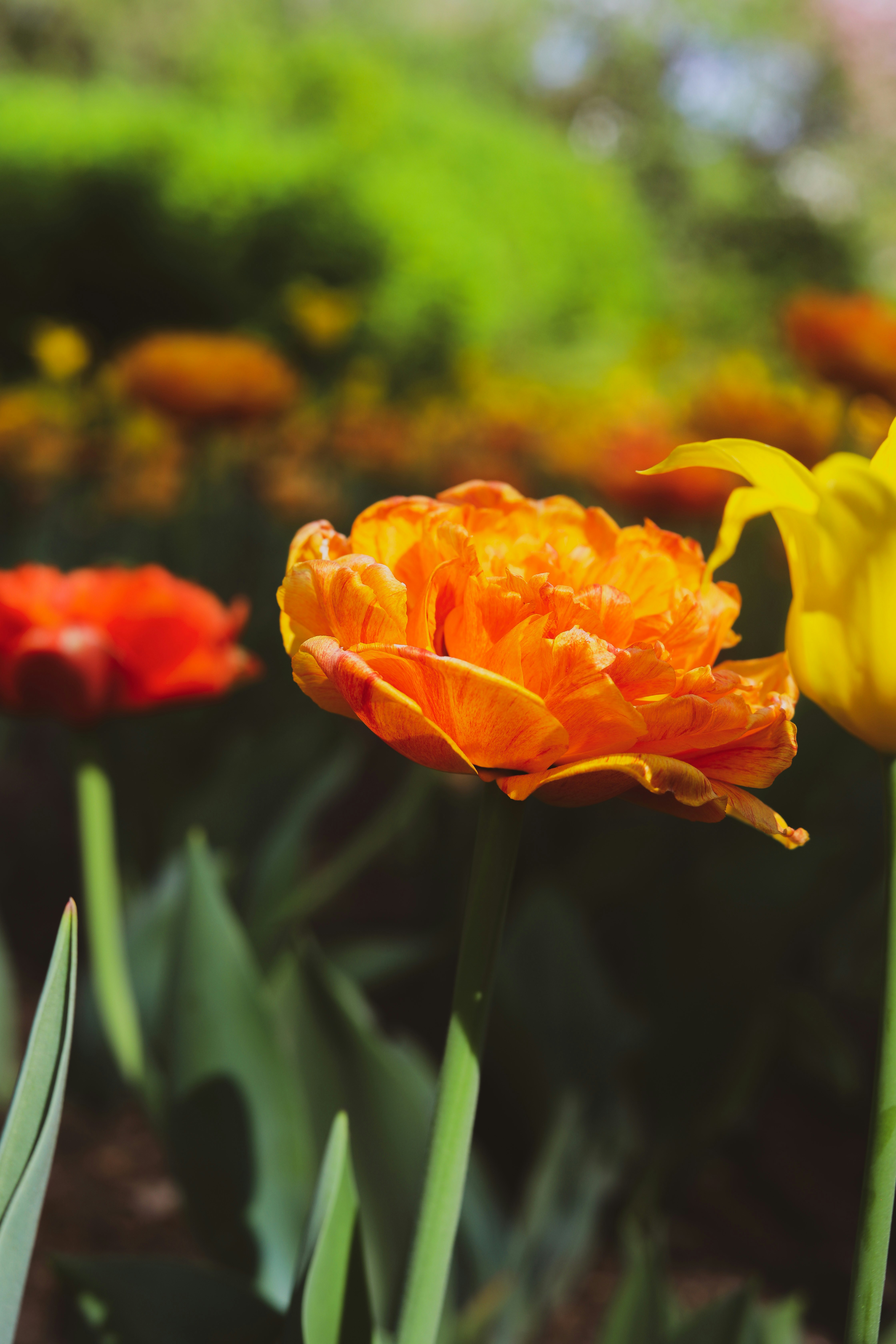 Photo by wenduisaac_