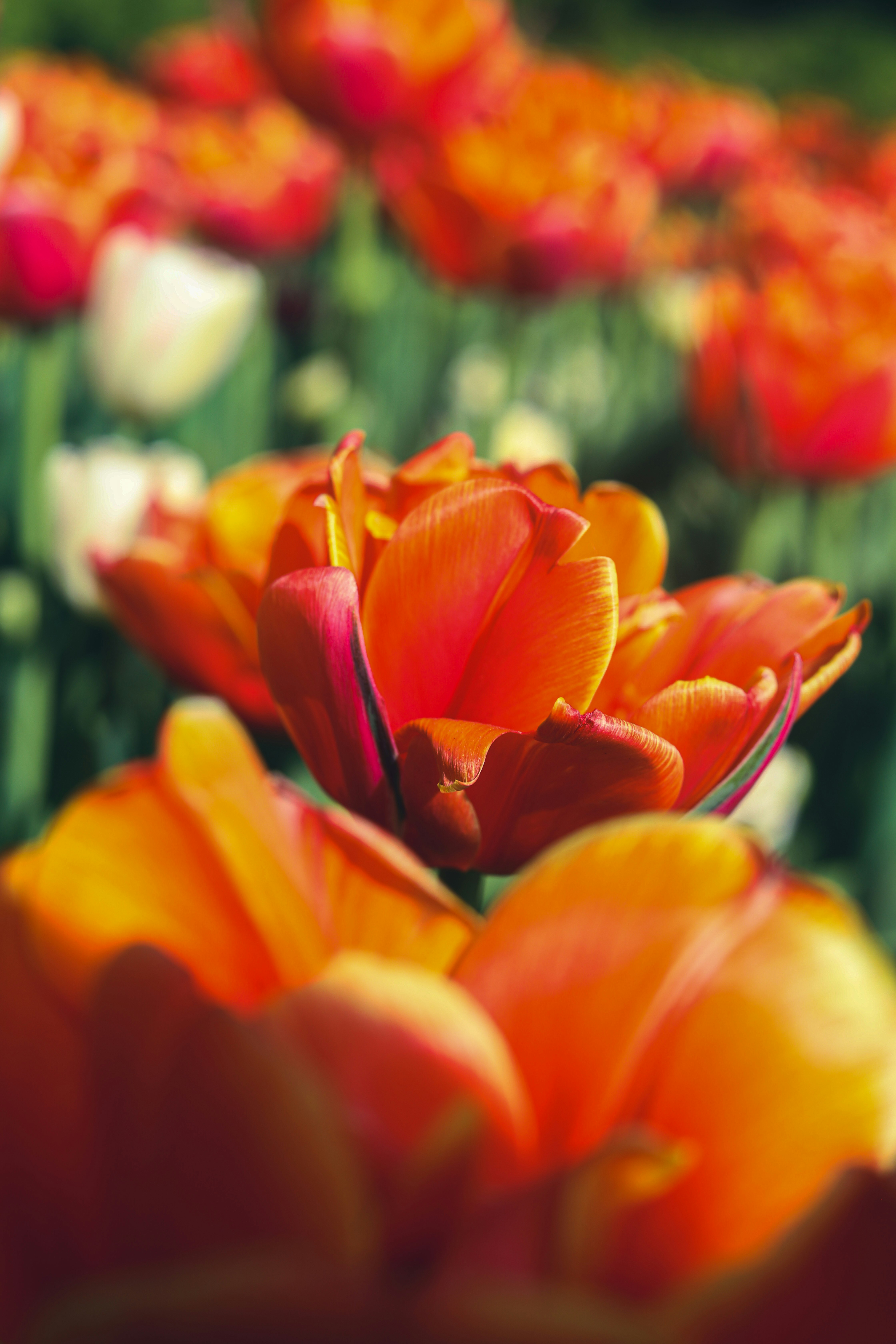 Photo by wenduisaac_