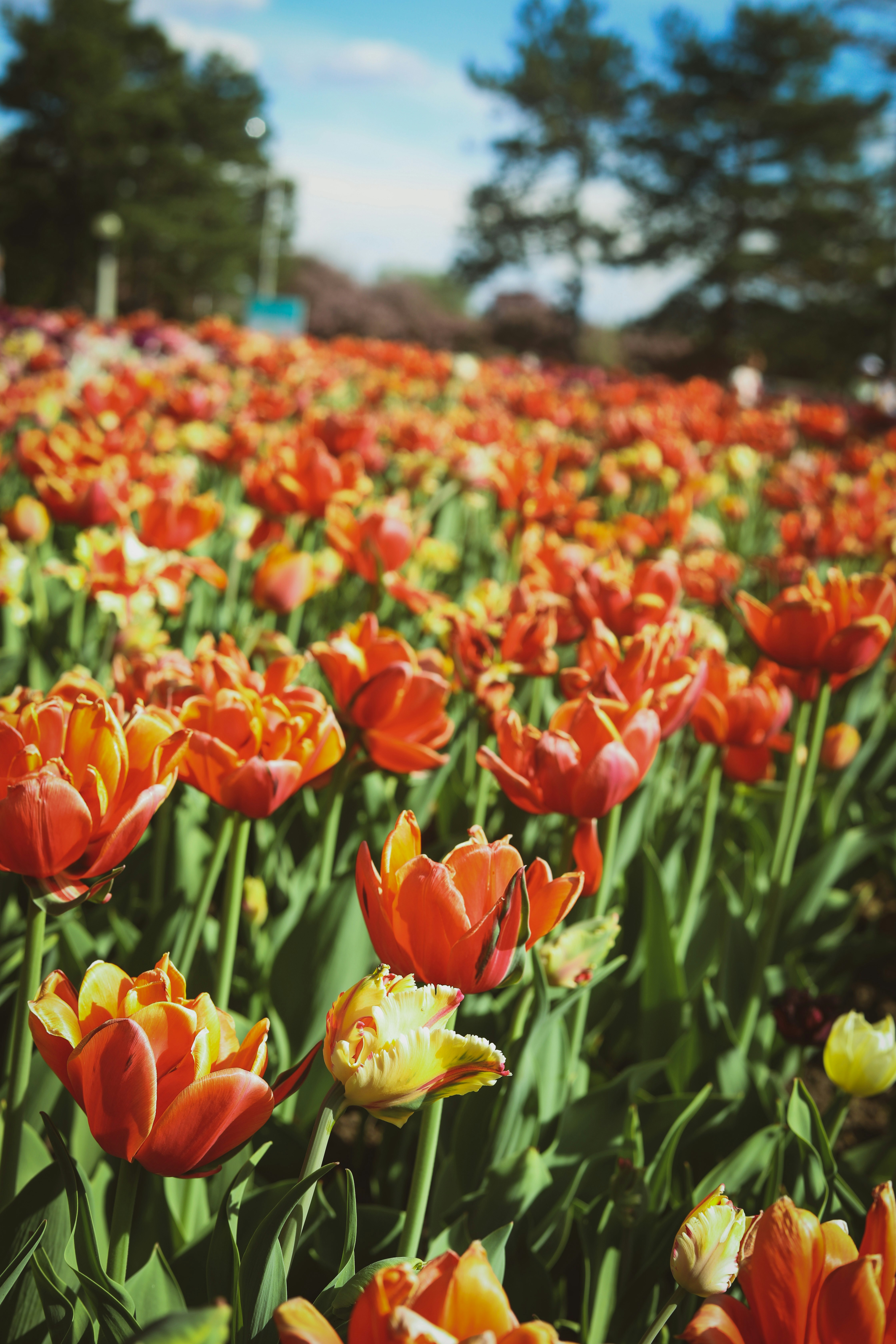 Photo by wenduisaac_