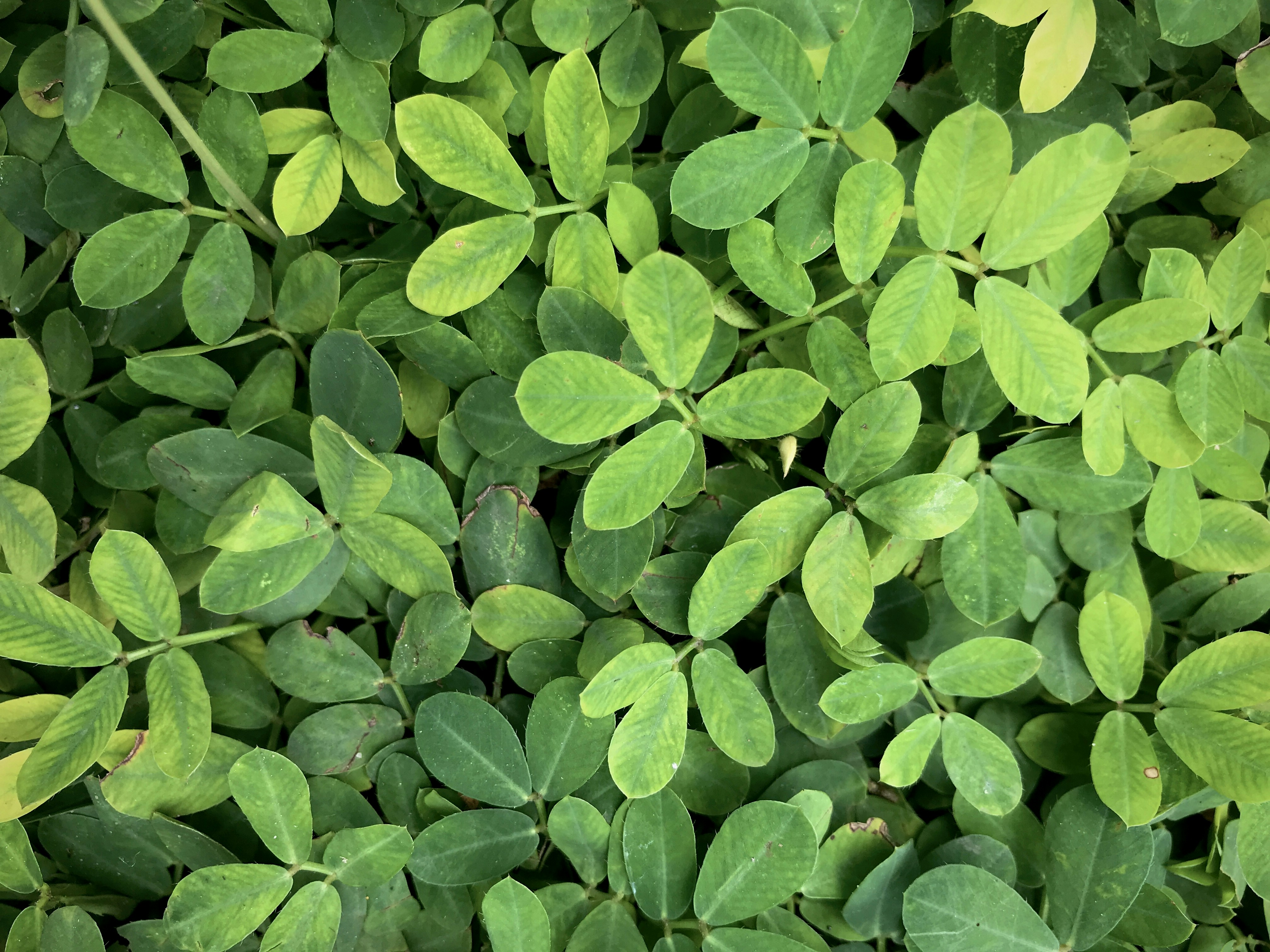 Photo by brucelam2603