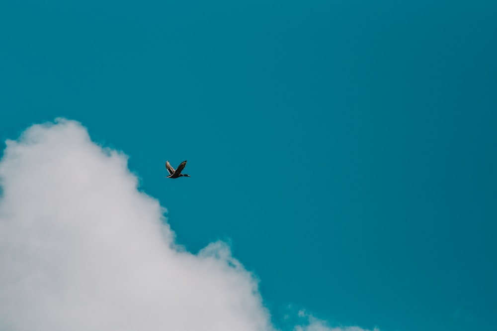 an airplane flying through a blue sky with clouds