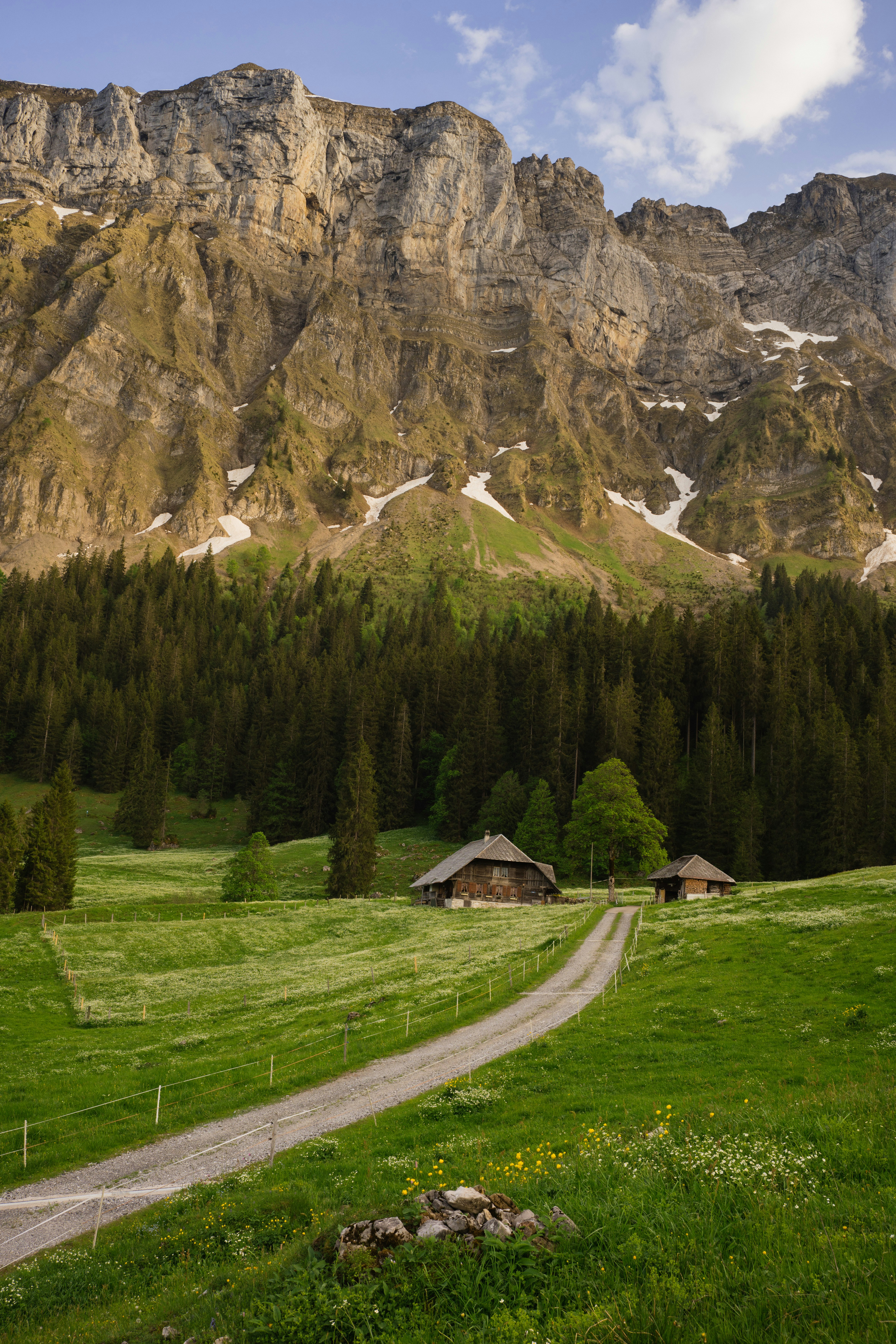 Photo by fabianbetto