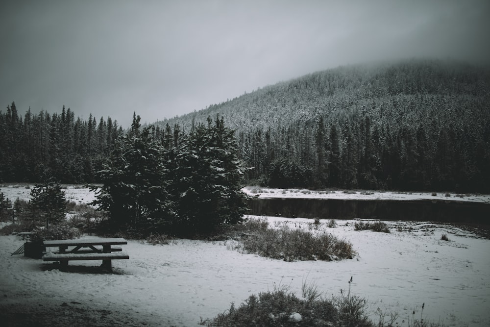 a snow covered field with a bench in the foreground