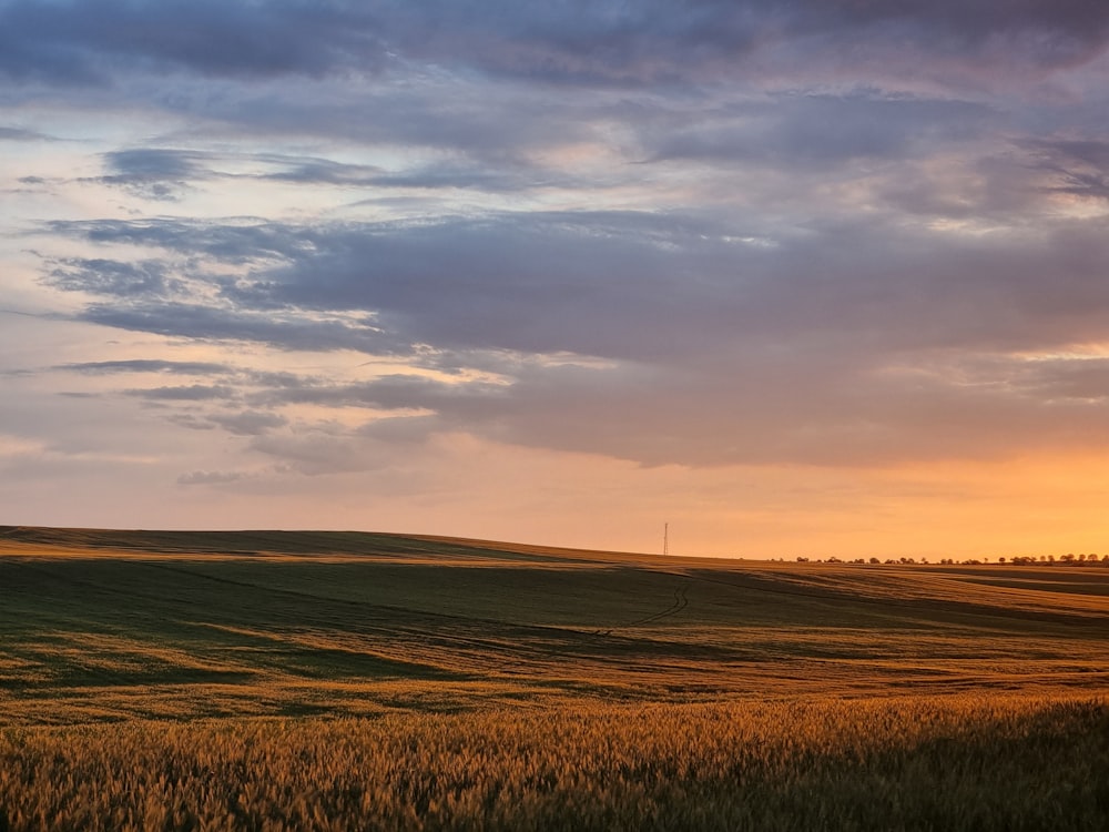 a field of grass under a cloudy sky