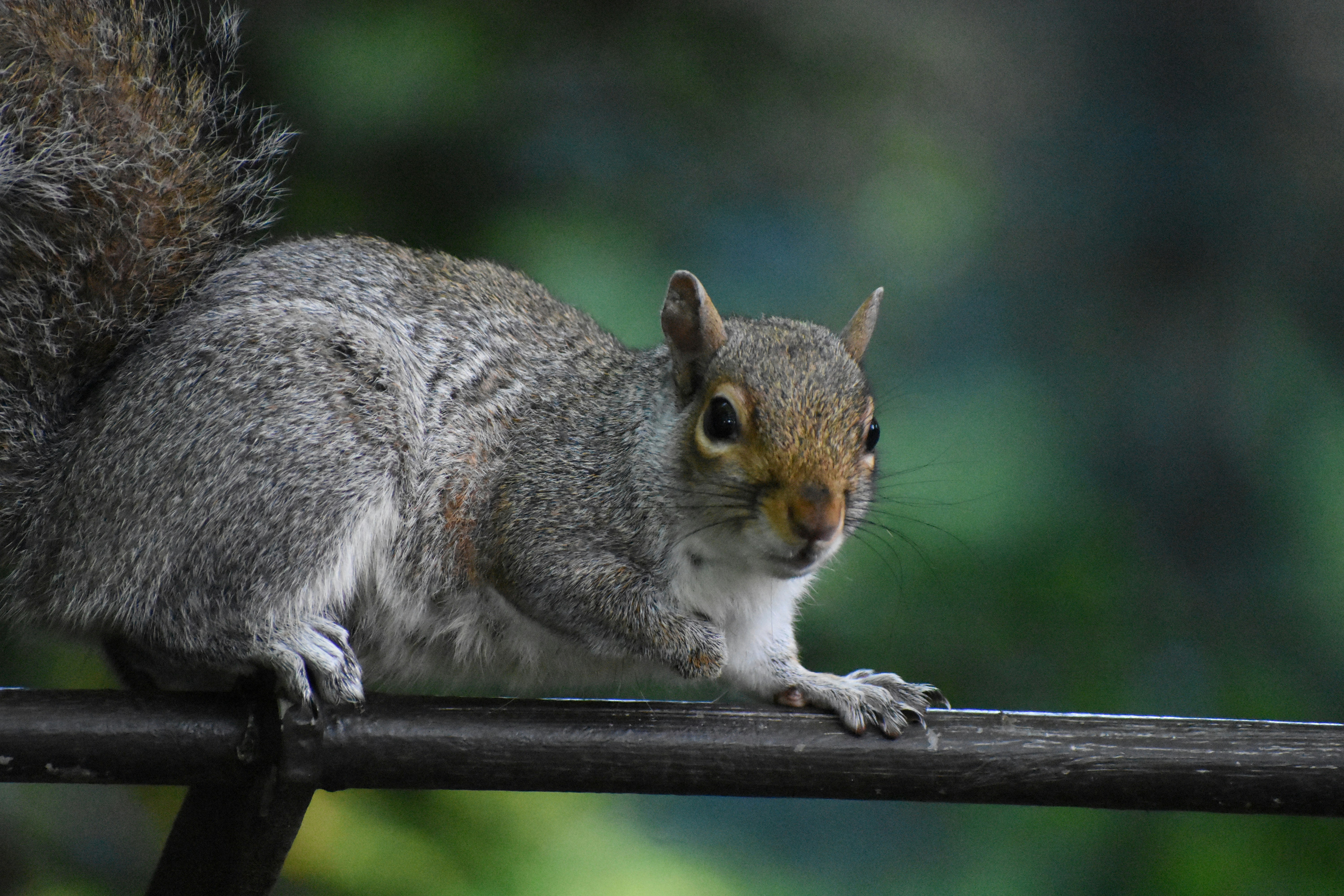 Photo by andrew_hall