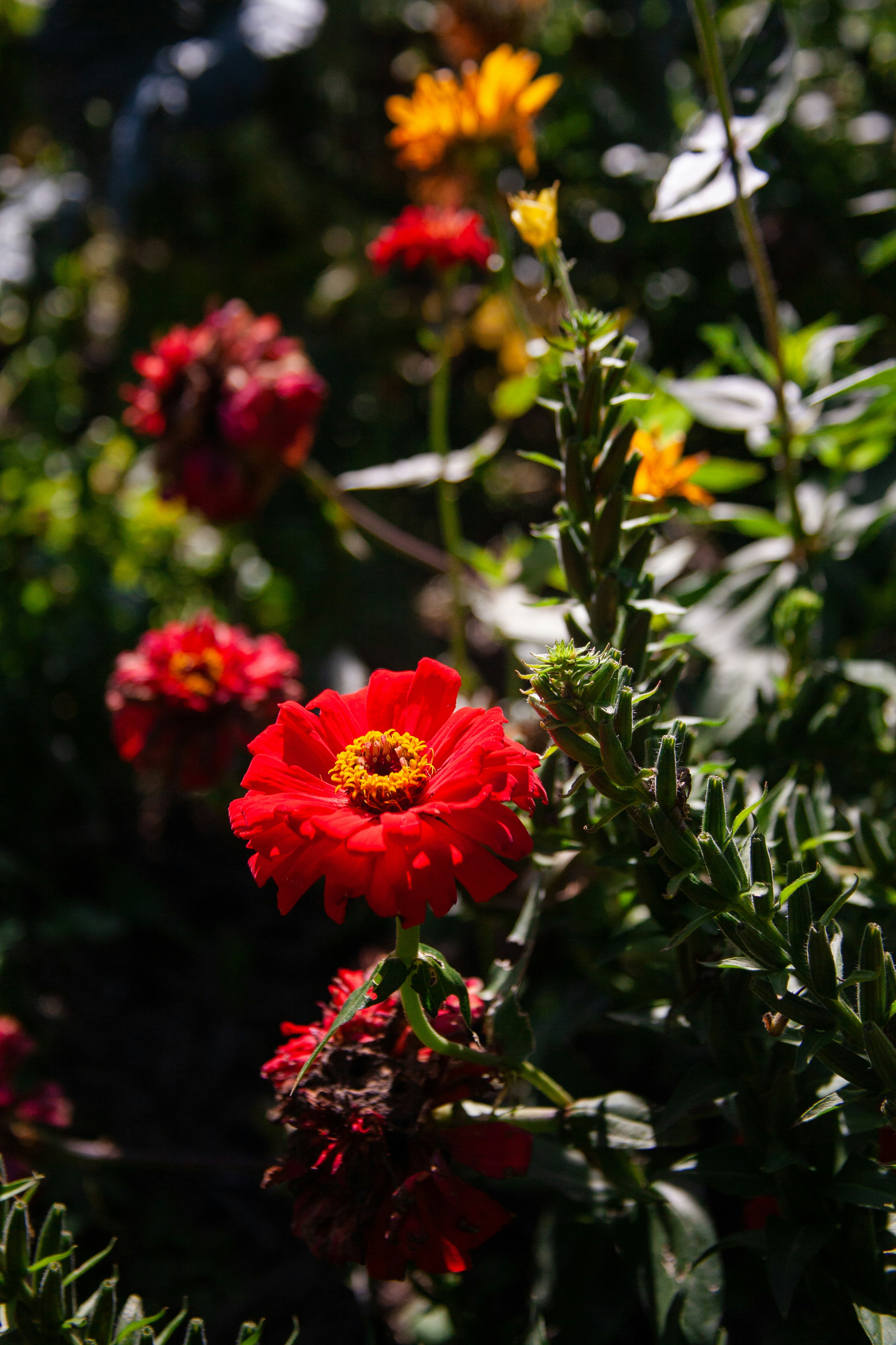 Photo by skatienstuksuma