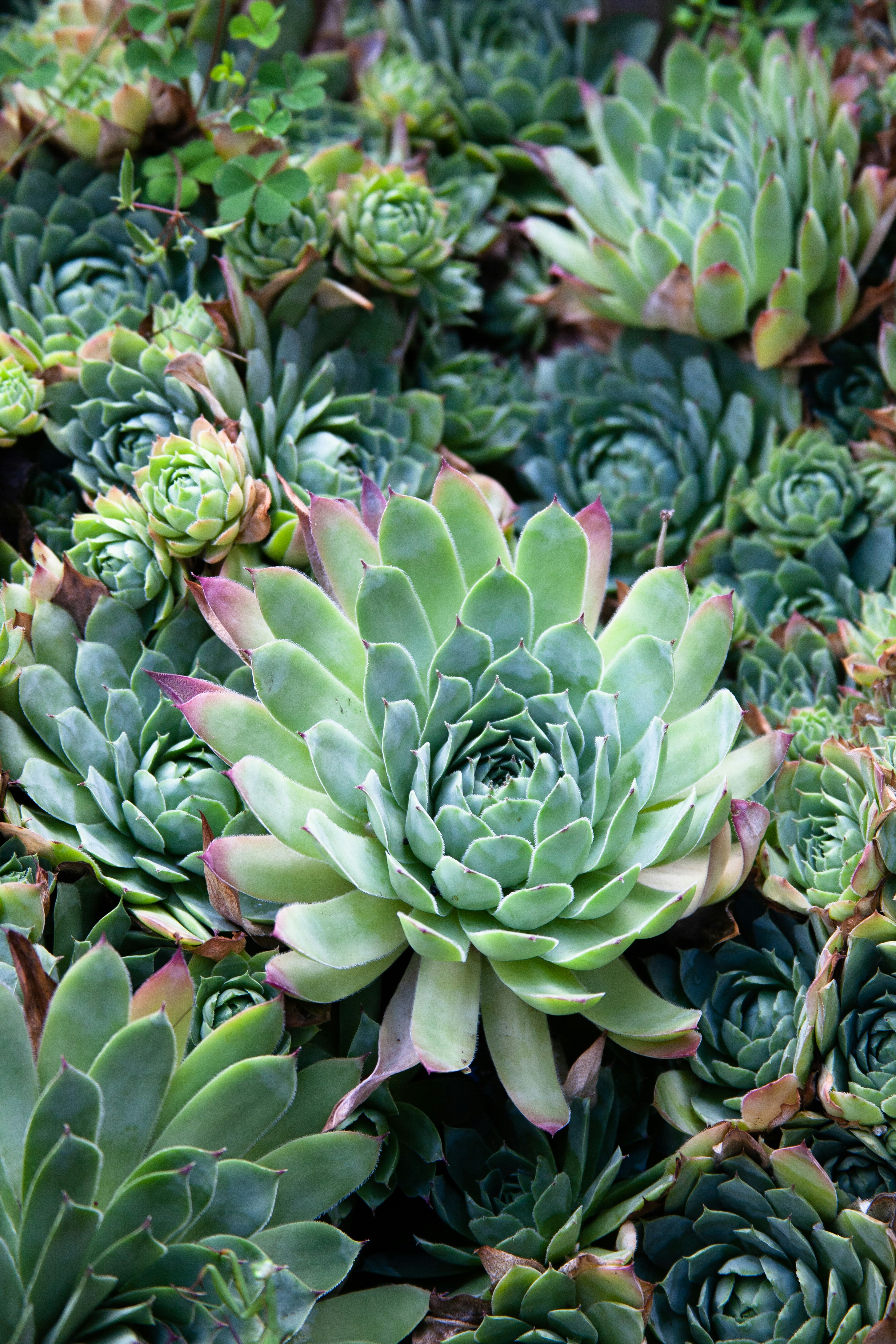 Photo by skatienstuksuma