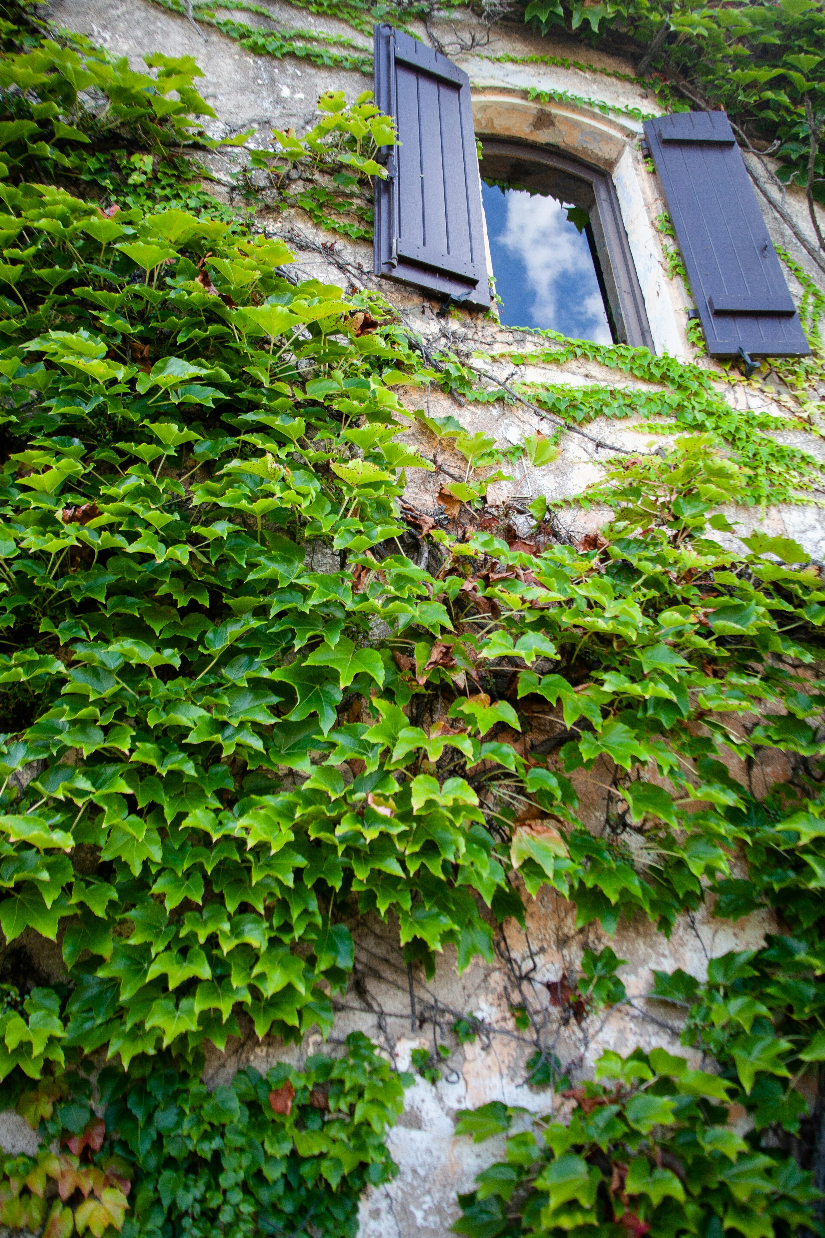 Photo by skatienstuksuma