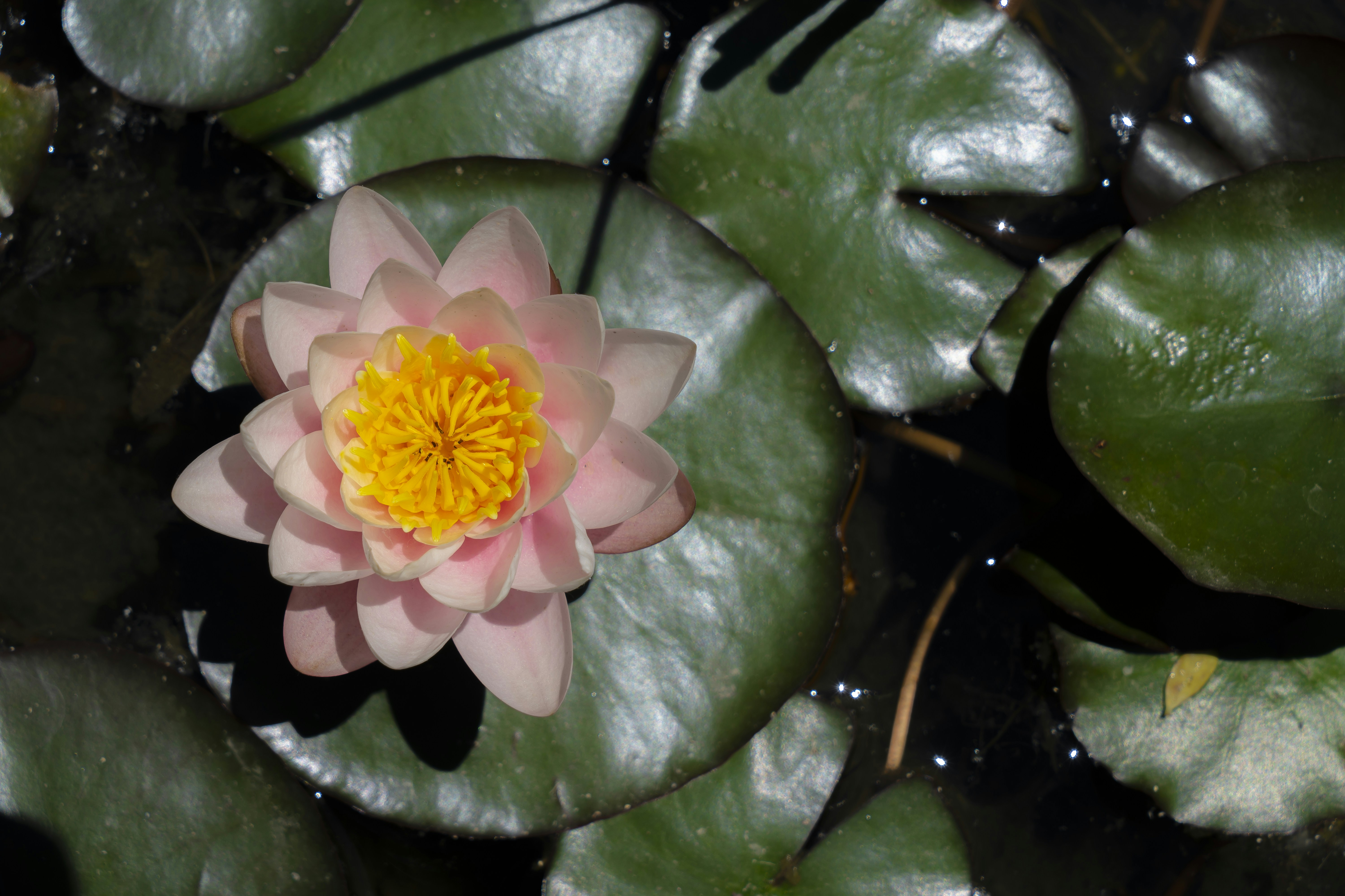 Photo by akbarnemati