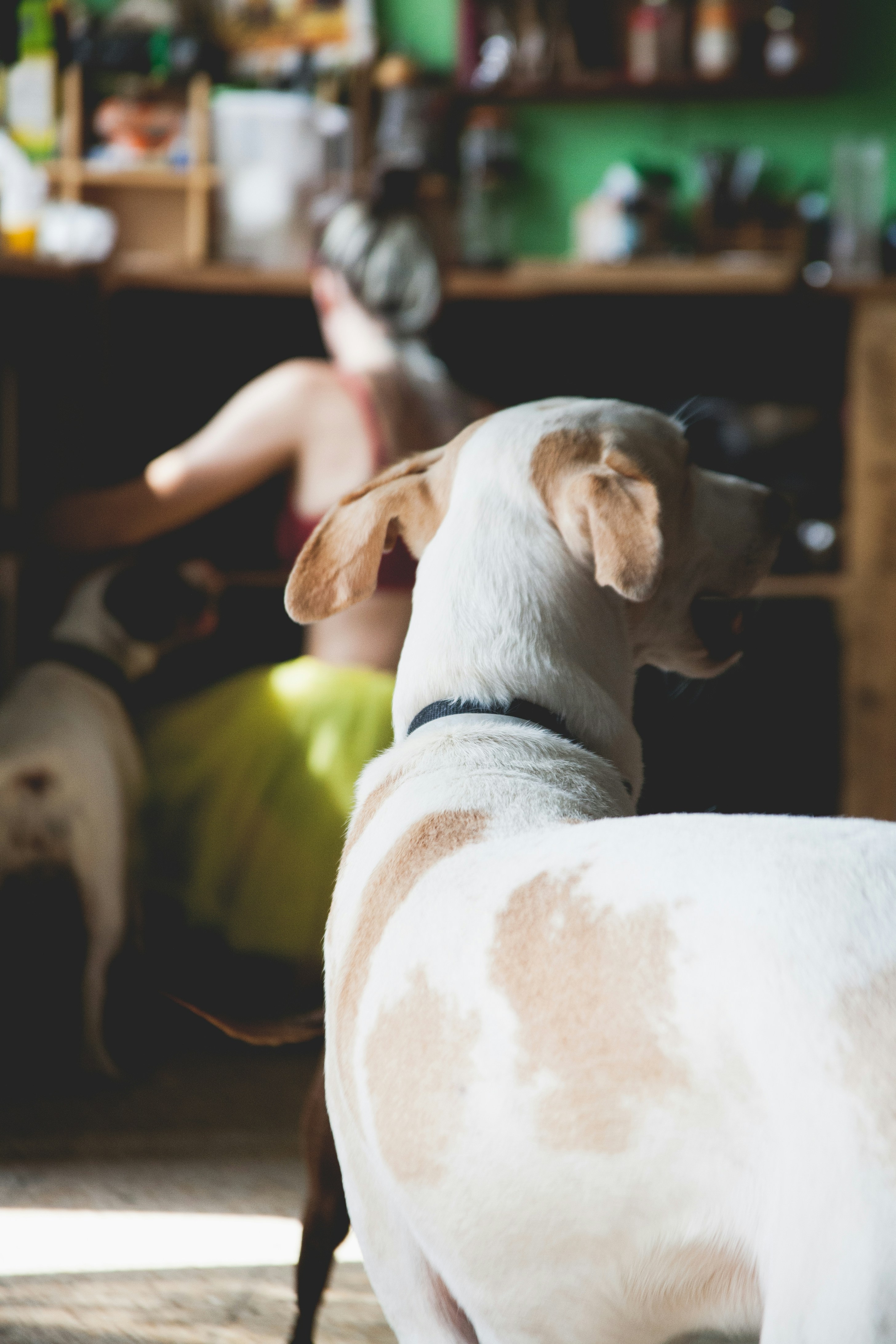 Photo by skatienstuksuma