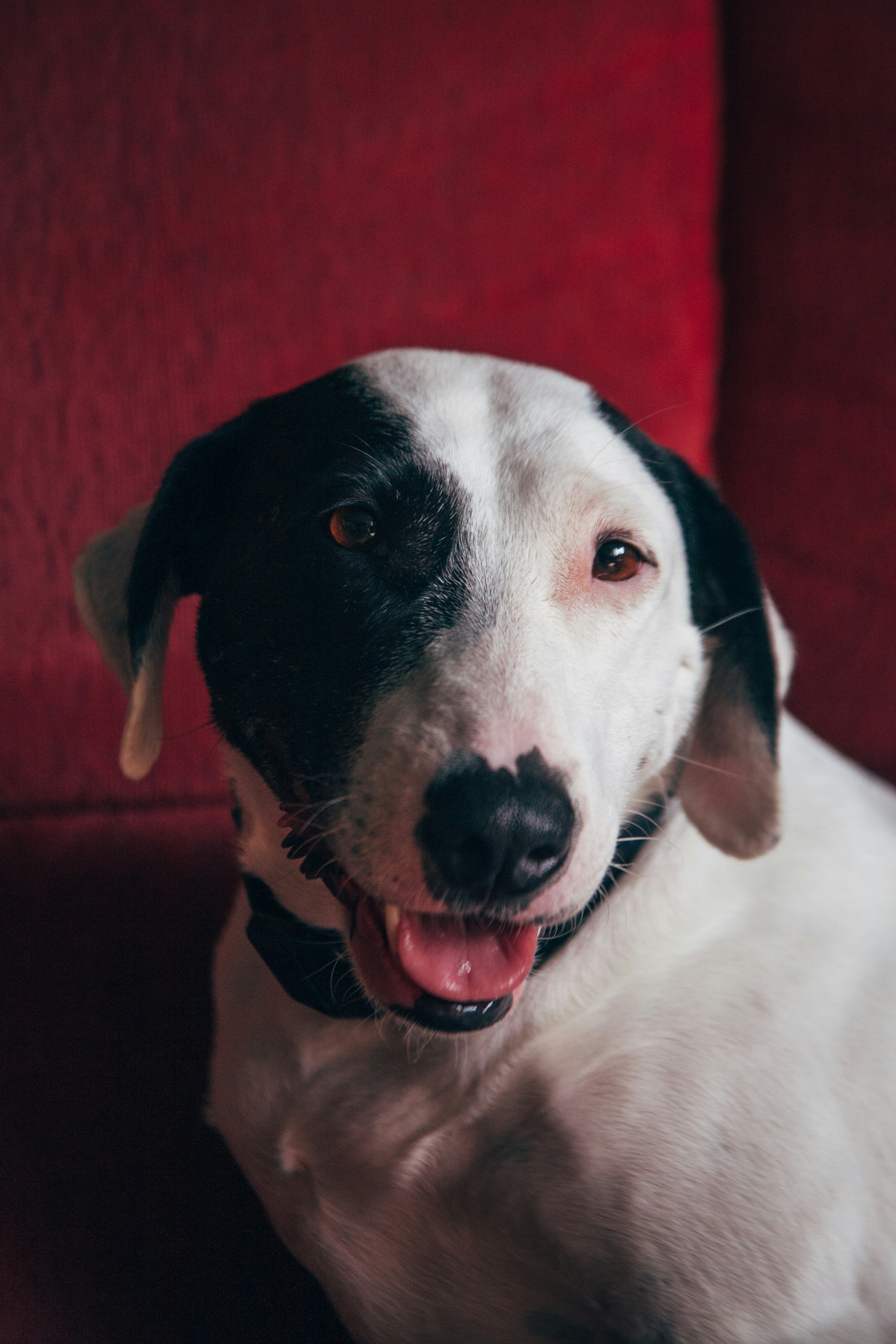 Photo by skatienstuksuma