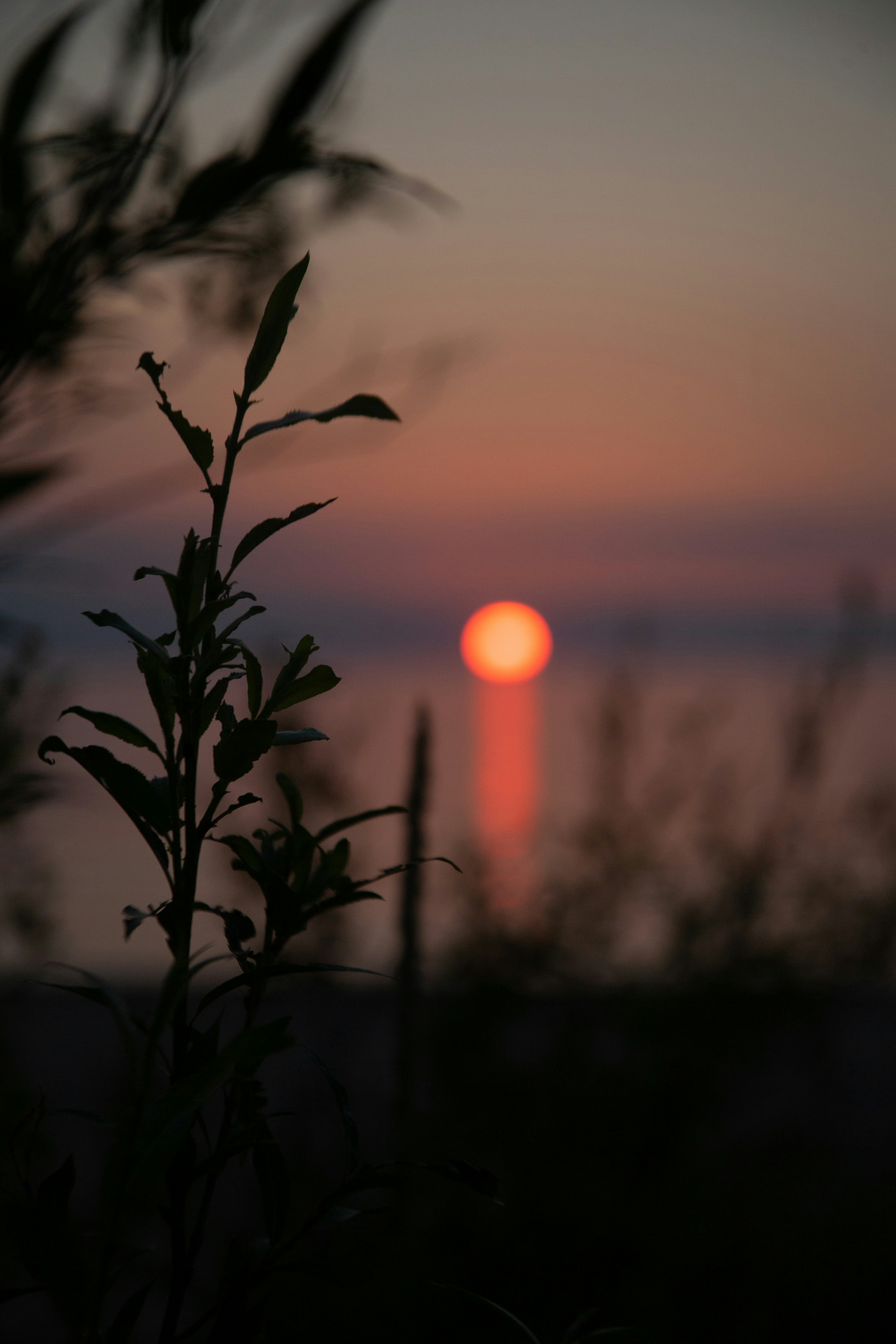 Photo by skatienstuksuma