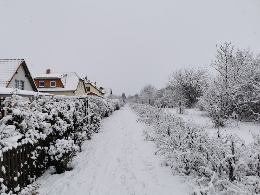 a snow covered path leading to a row of houses