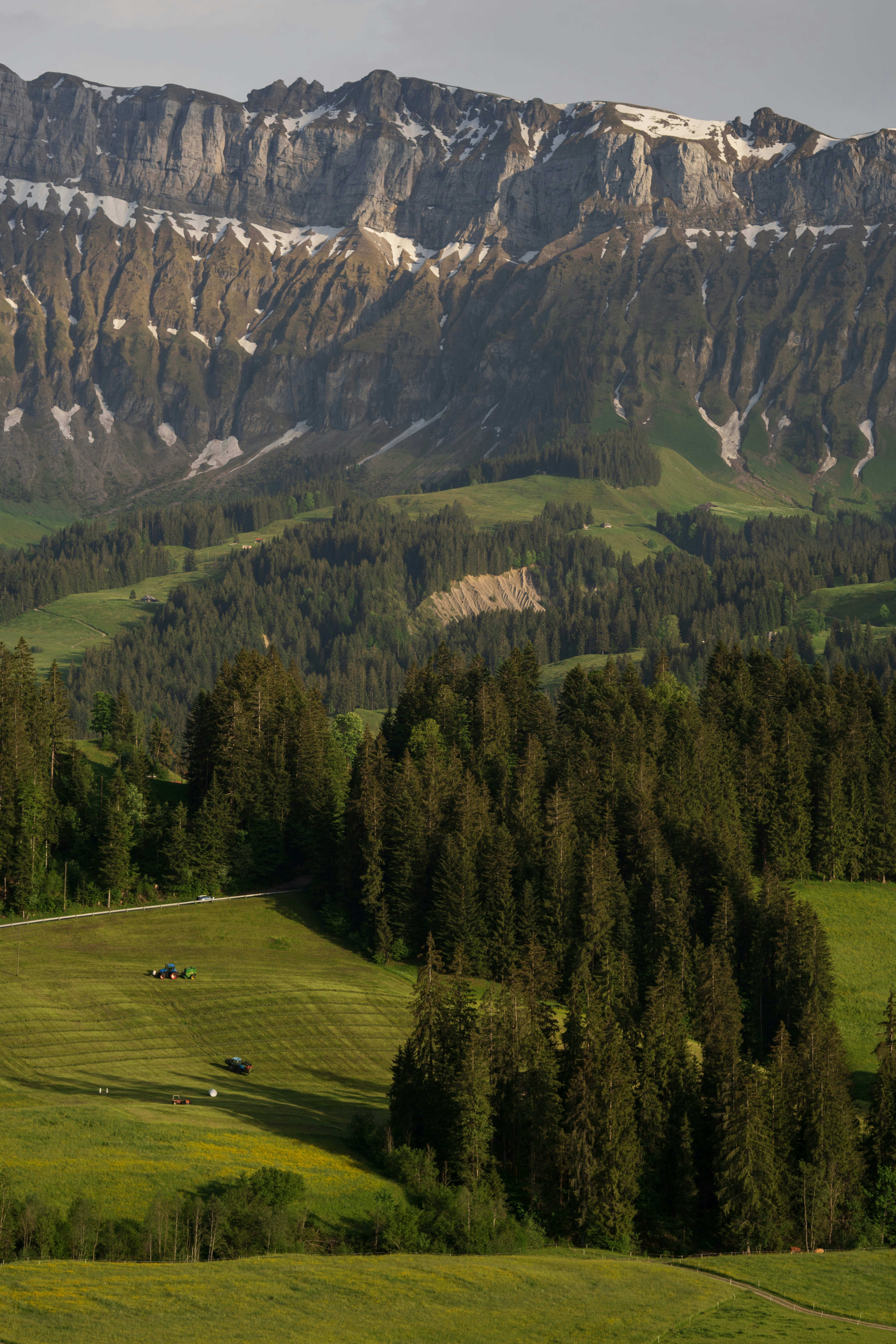 Photo by fabianbetto