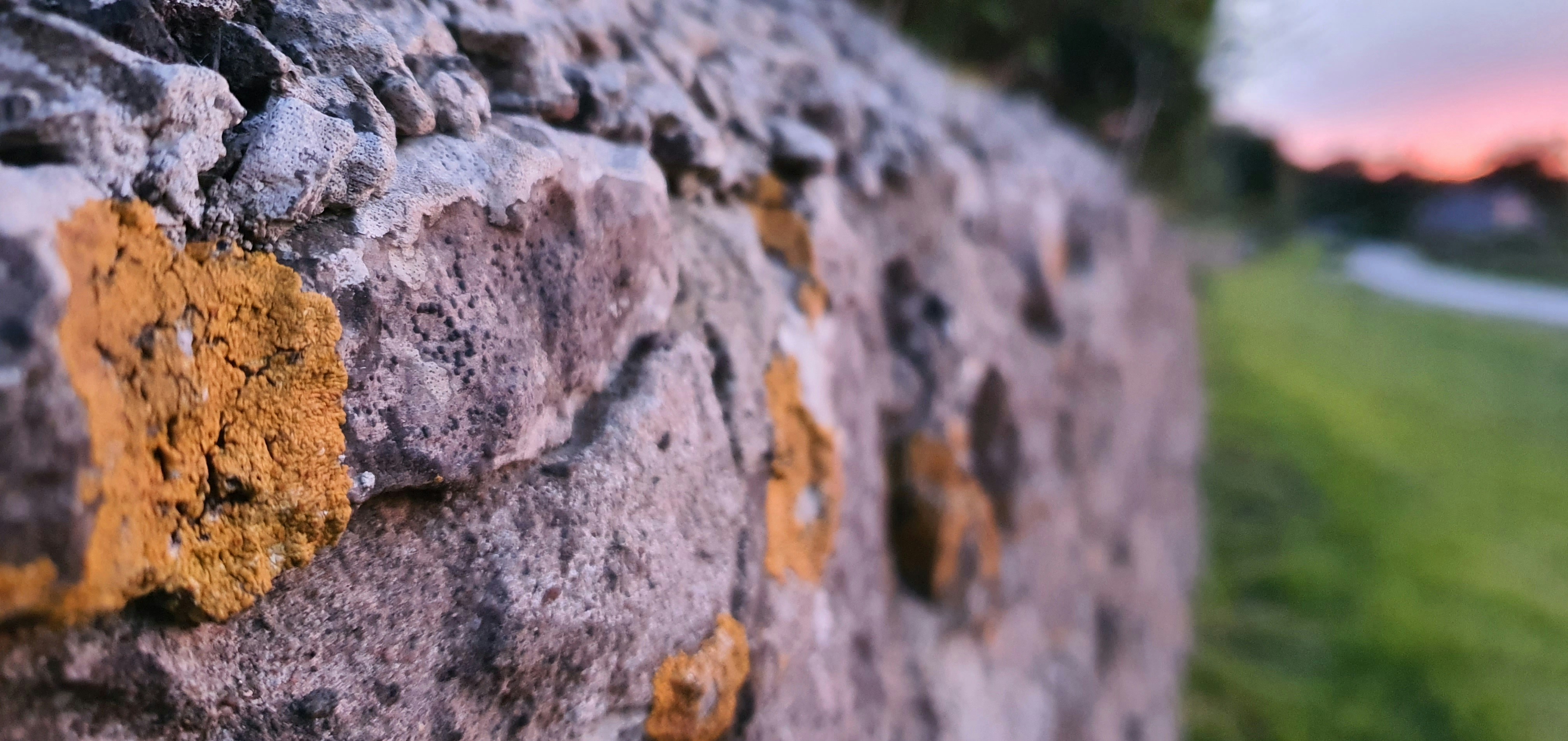 Photo by the_green_sanctuary