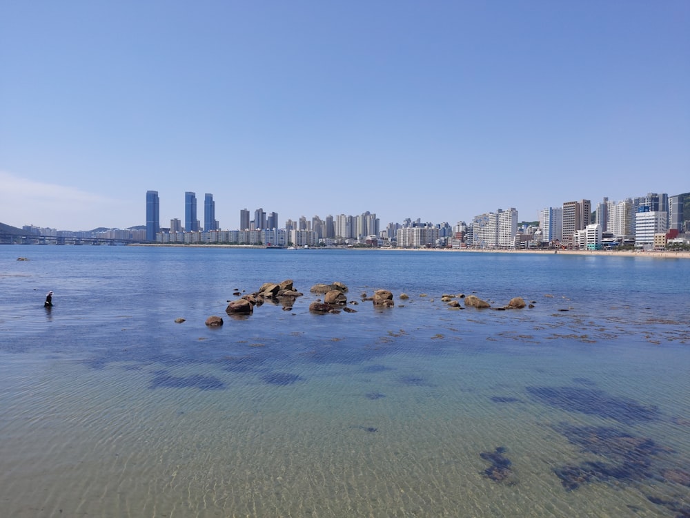 a body of water with a city in the background