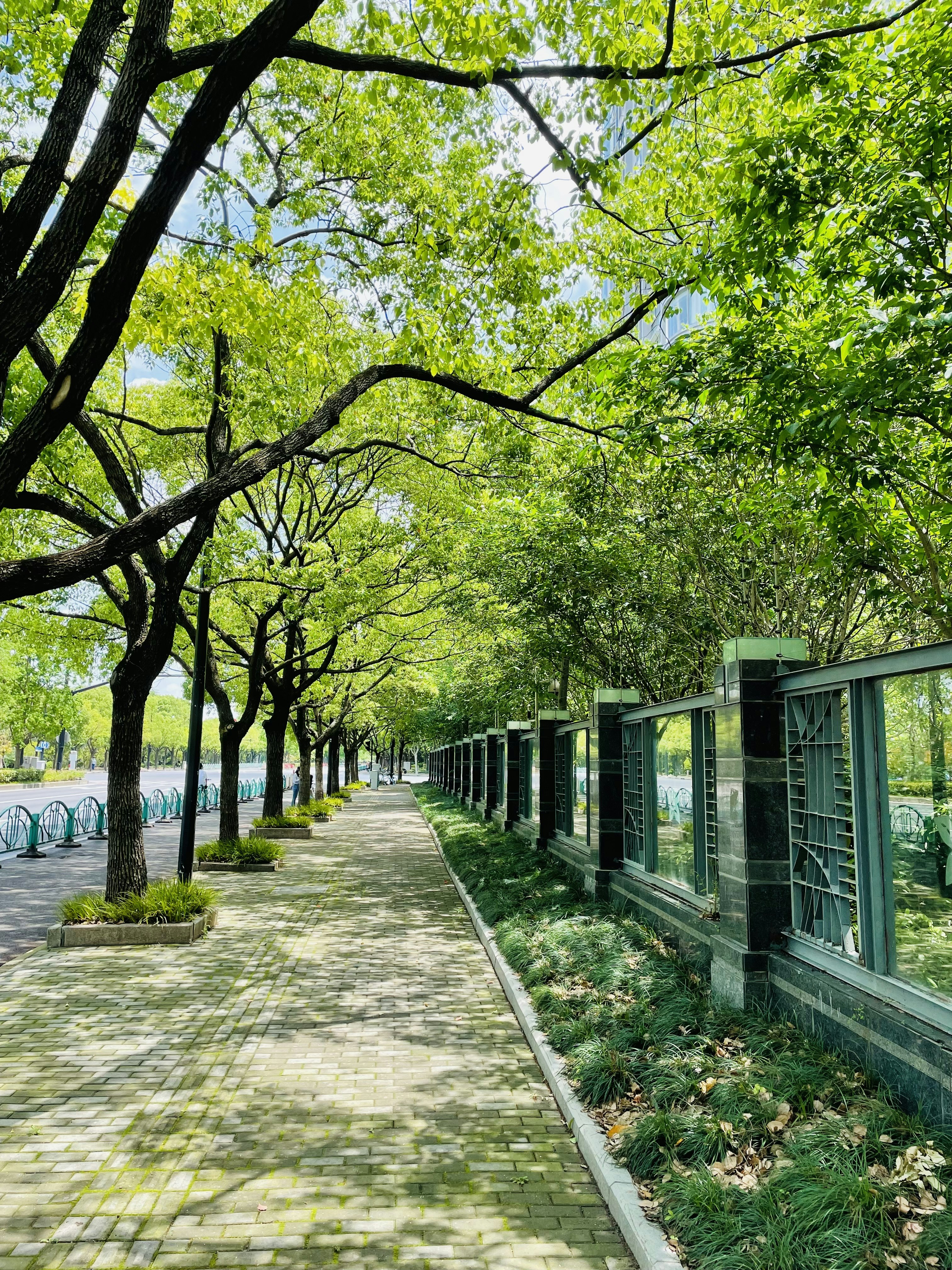 Photo by lsrabbit1212