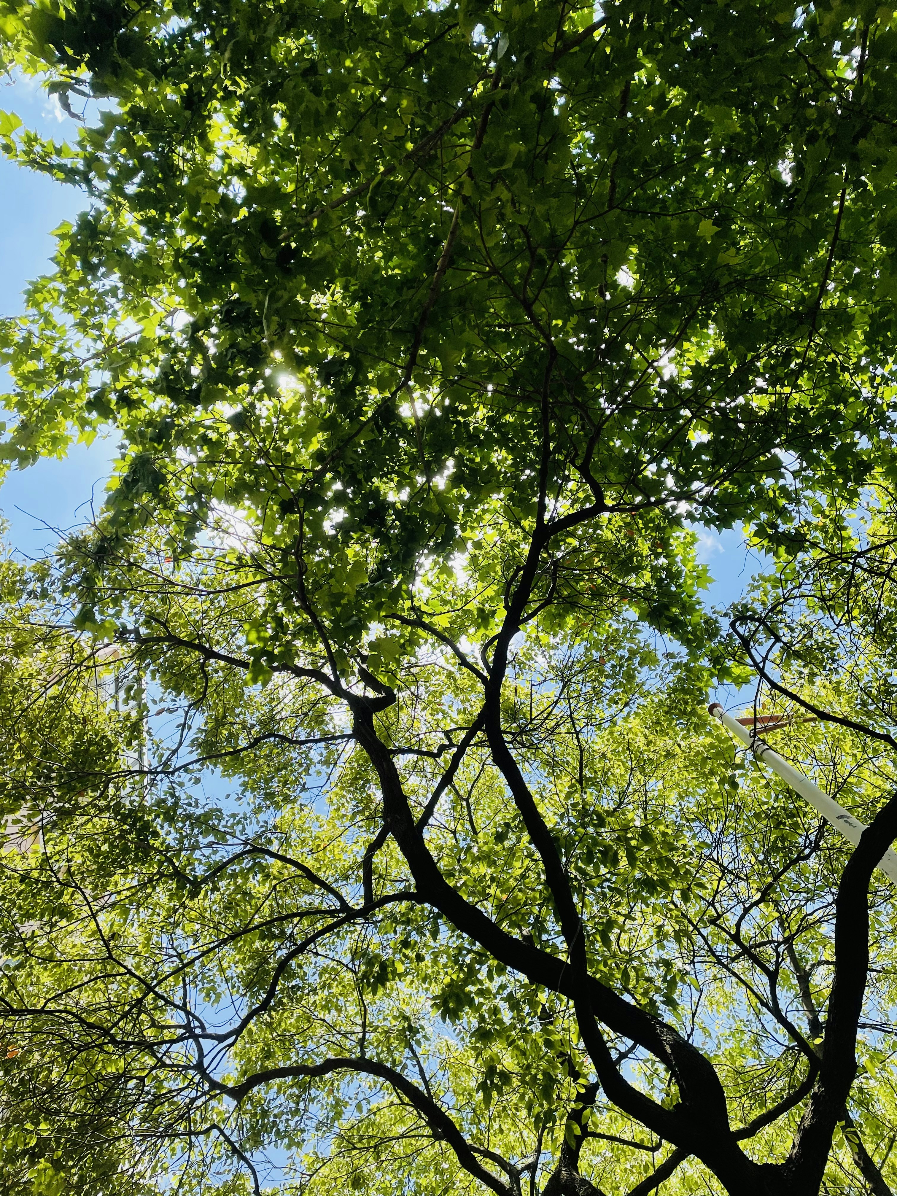 Photo by lsrabbit1212