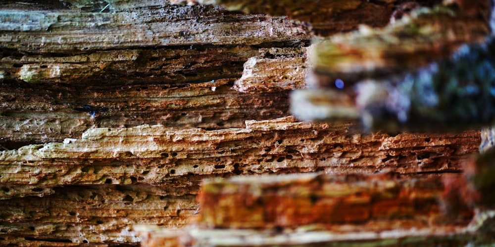 a close up of a rock formation with a blurry background