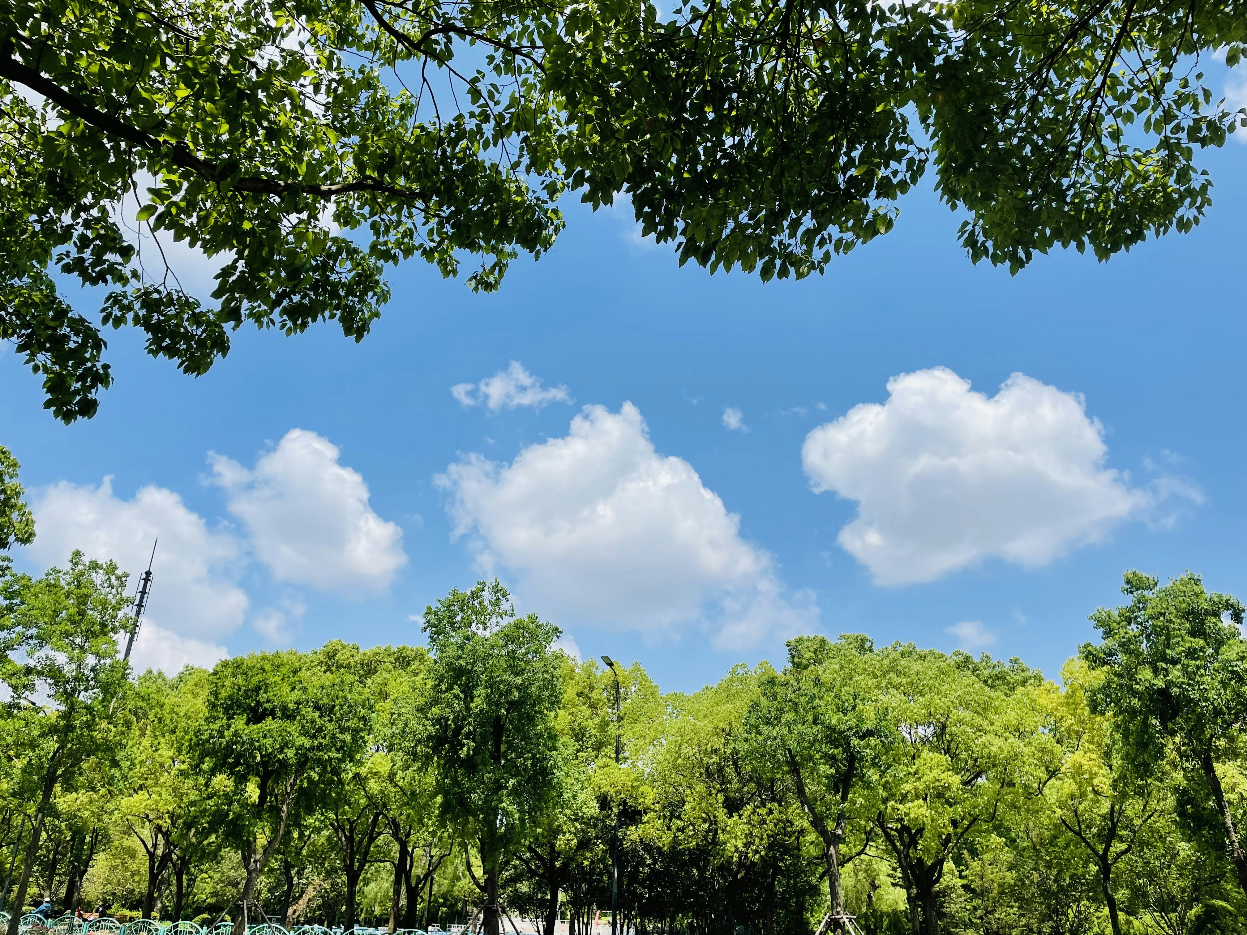 Photo by lsrabbit1212