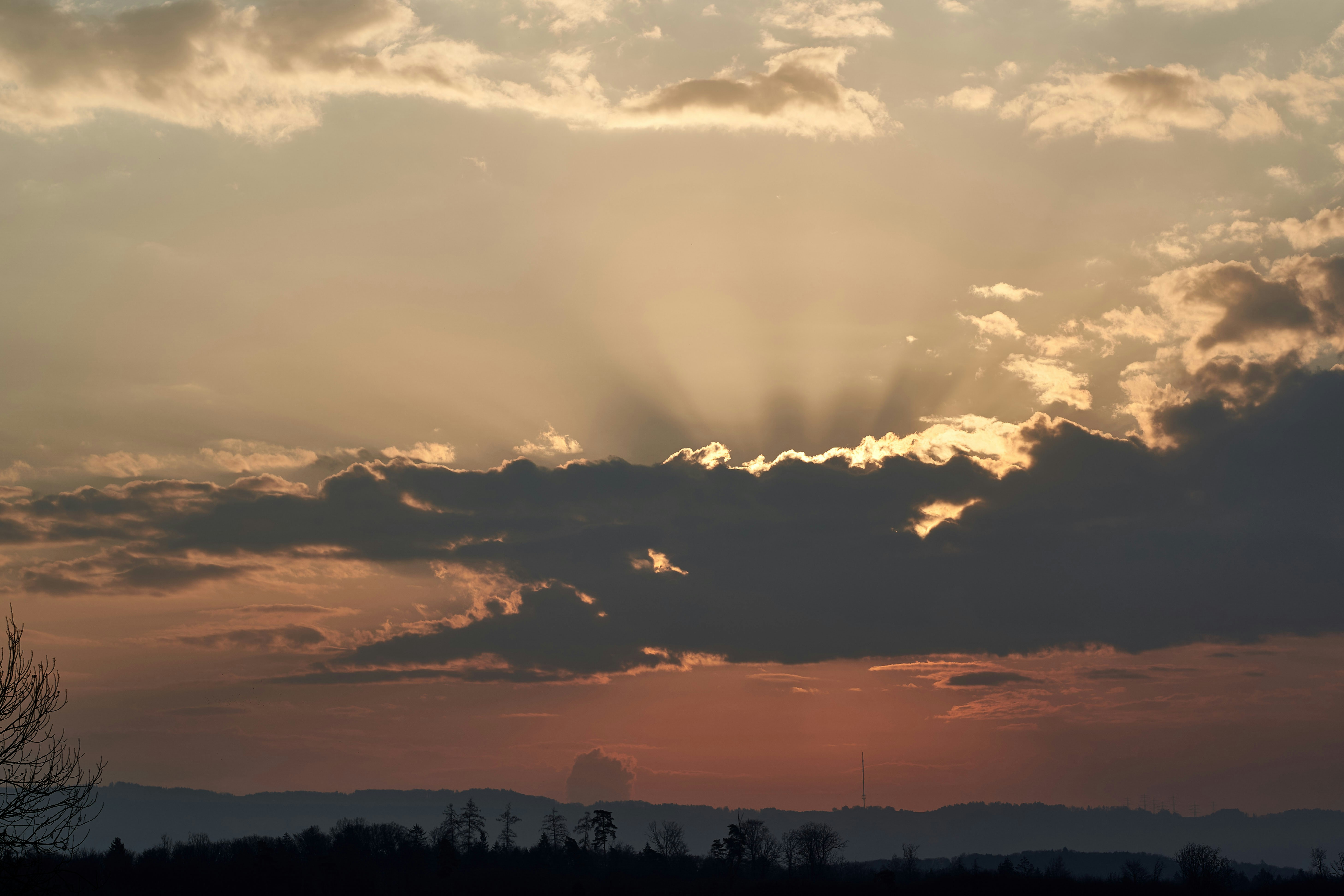 Photo by wolfgang_hasselmann