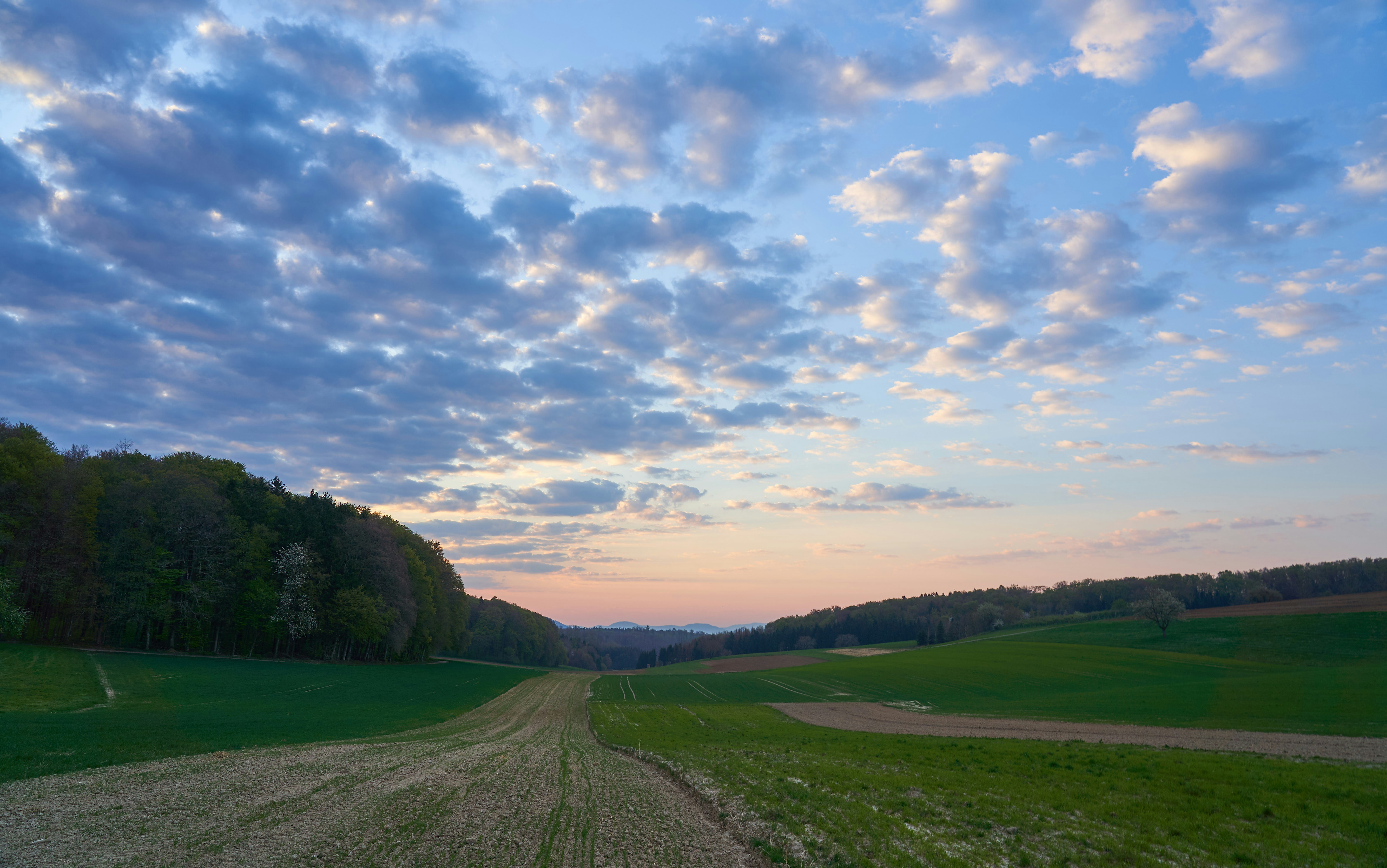 Photo by wolfgang_hasselmann