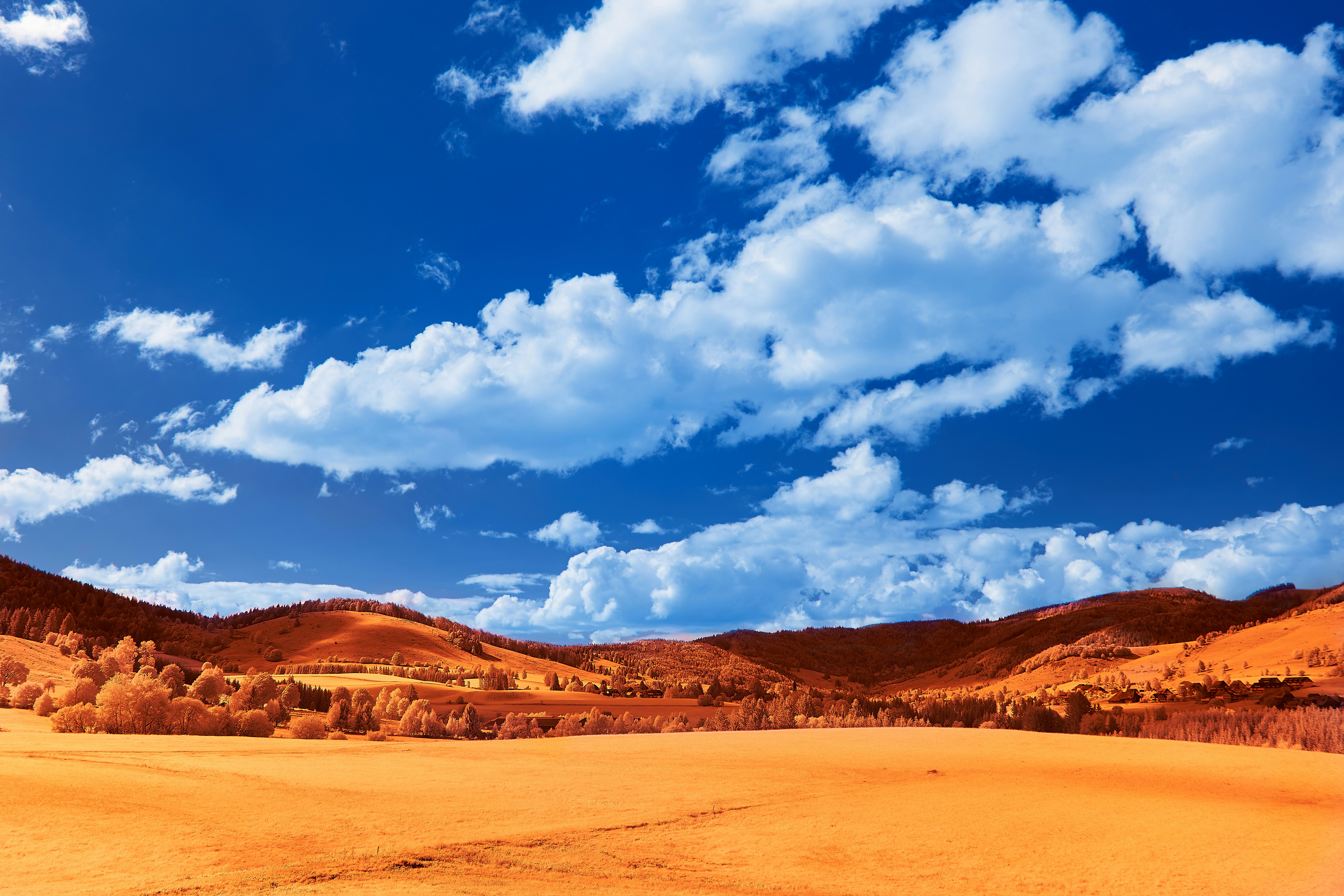 Photo by wolfgang_hasselmann