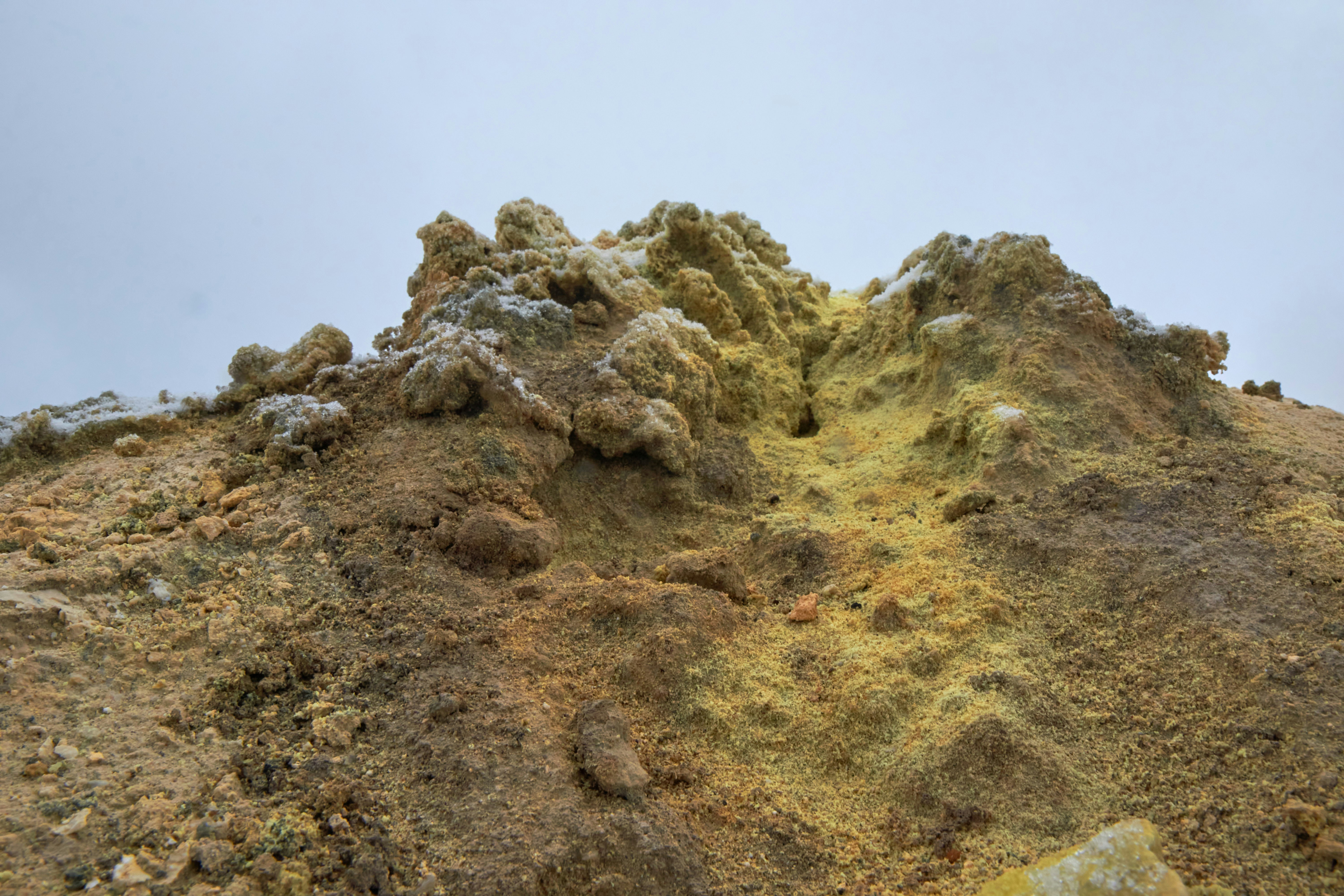 Photo by wolfgang_hasselmann