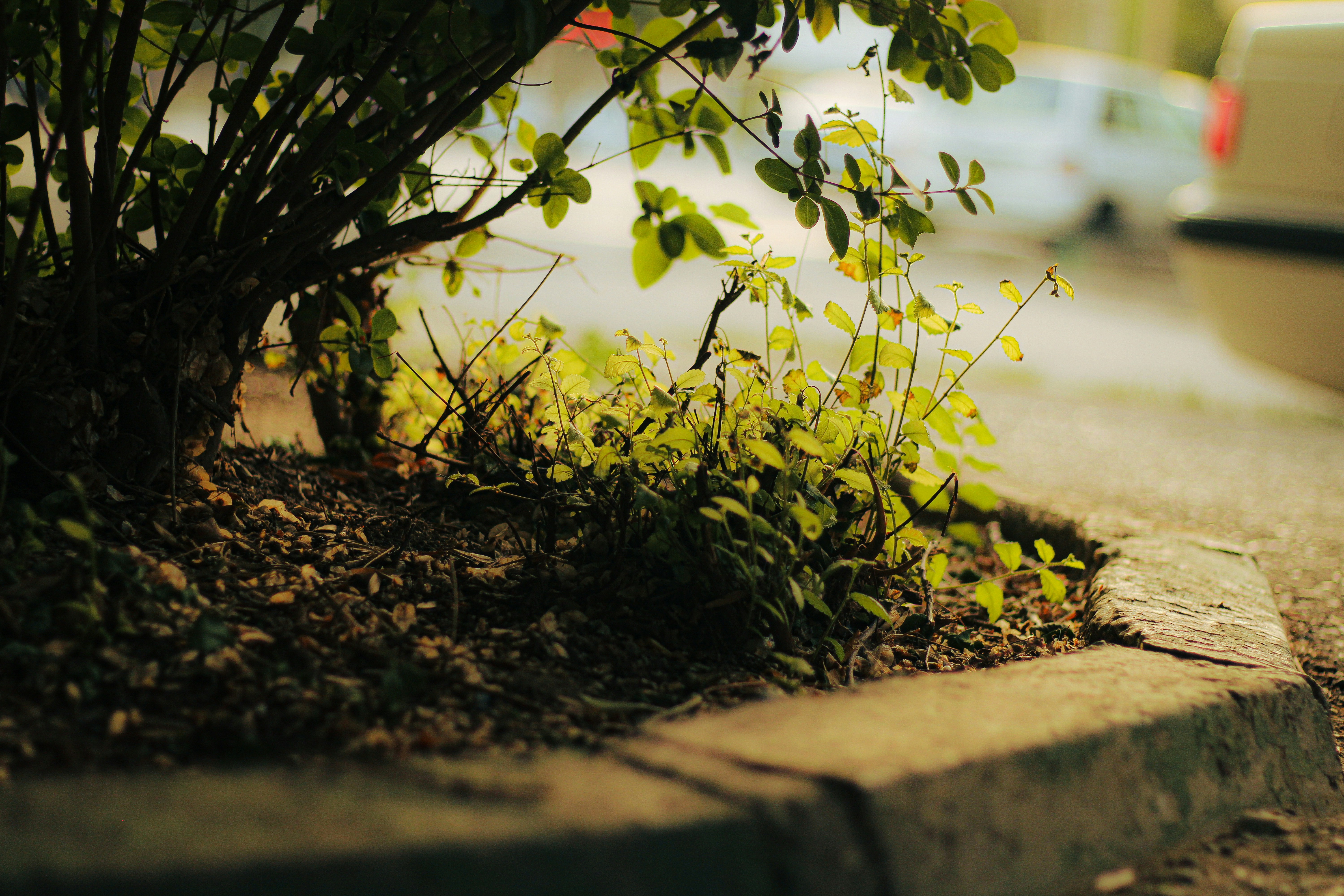 Photo by ihonarrmand