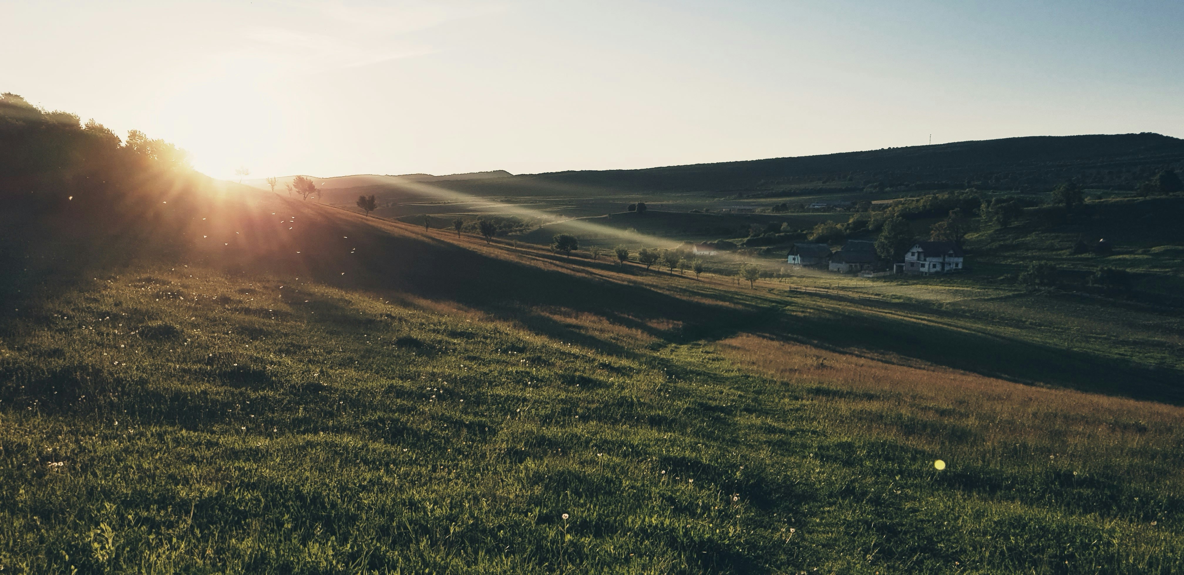 Photo by alex_emanuel20