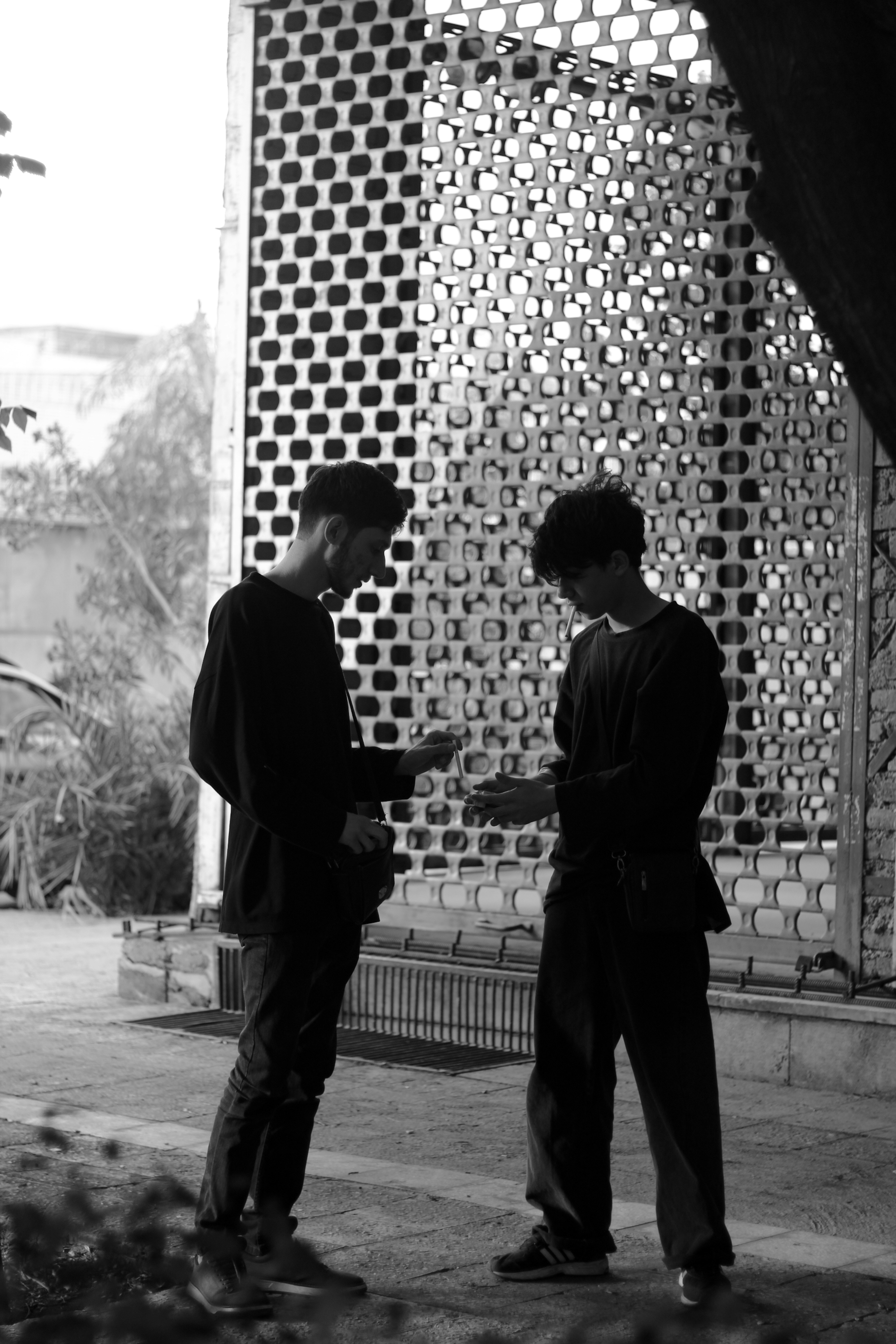 Photo by ihonarrmand