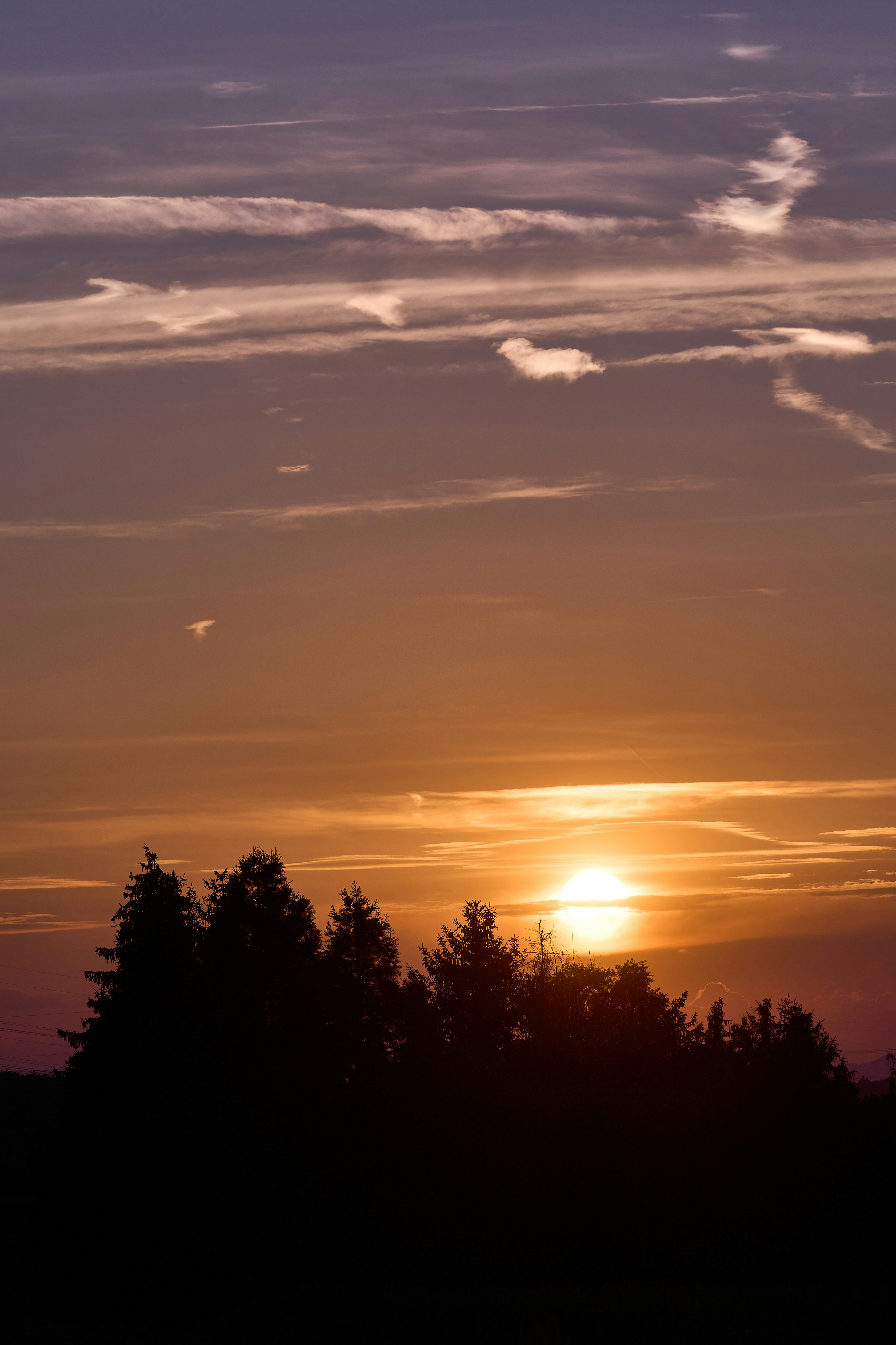 Photo by wolfgang_hasselmann