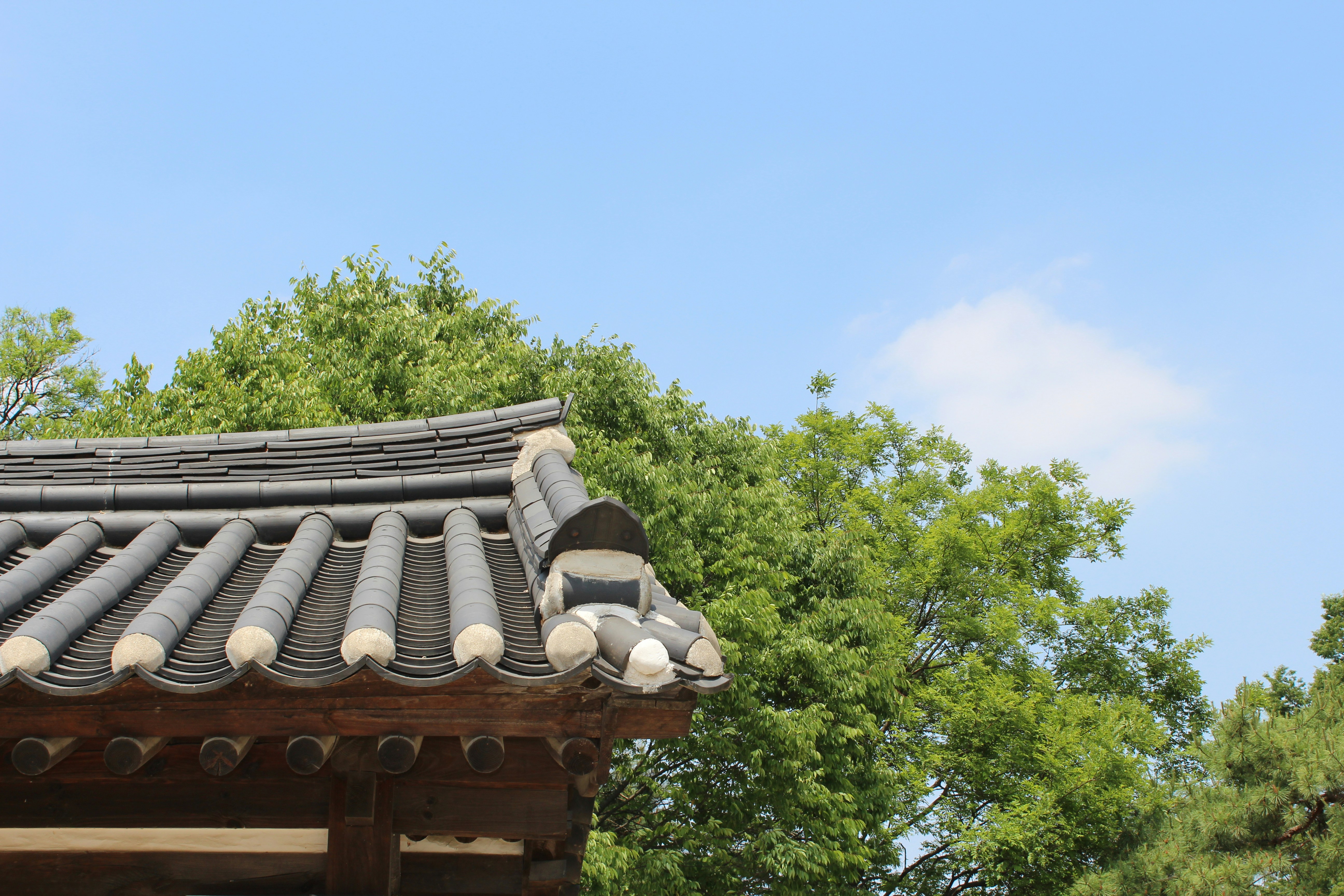 Photo by drewbae0505