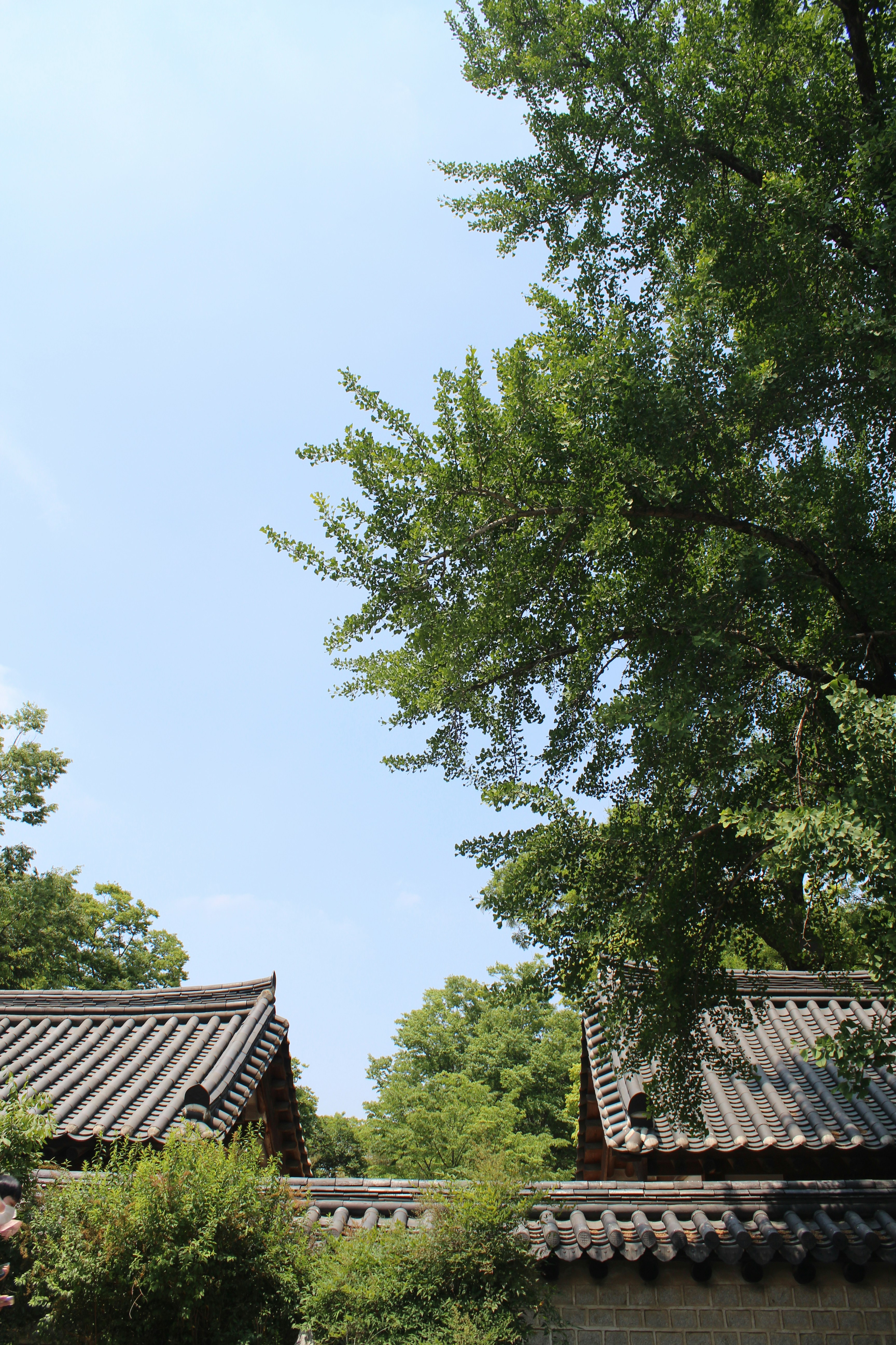 Photo by drewbae0505