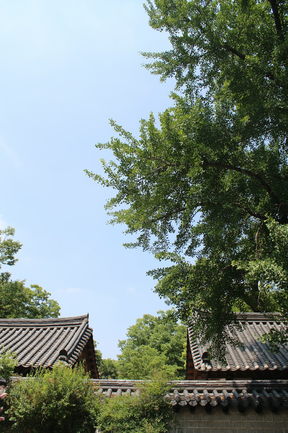 a view of a building with a tree in the foreground